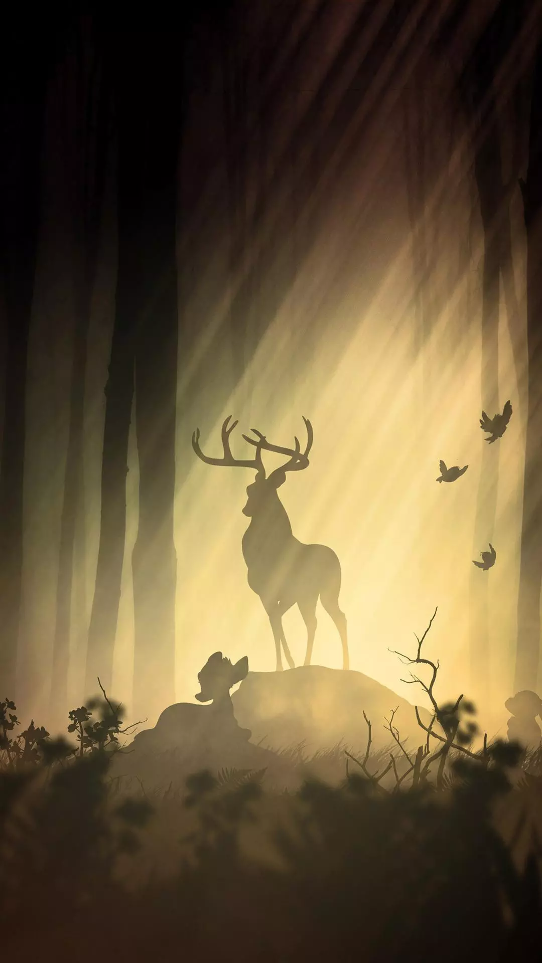 Wallpapers