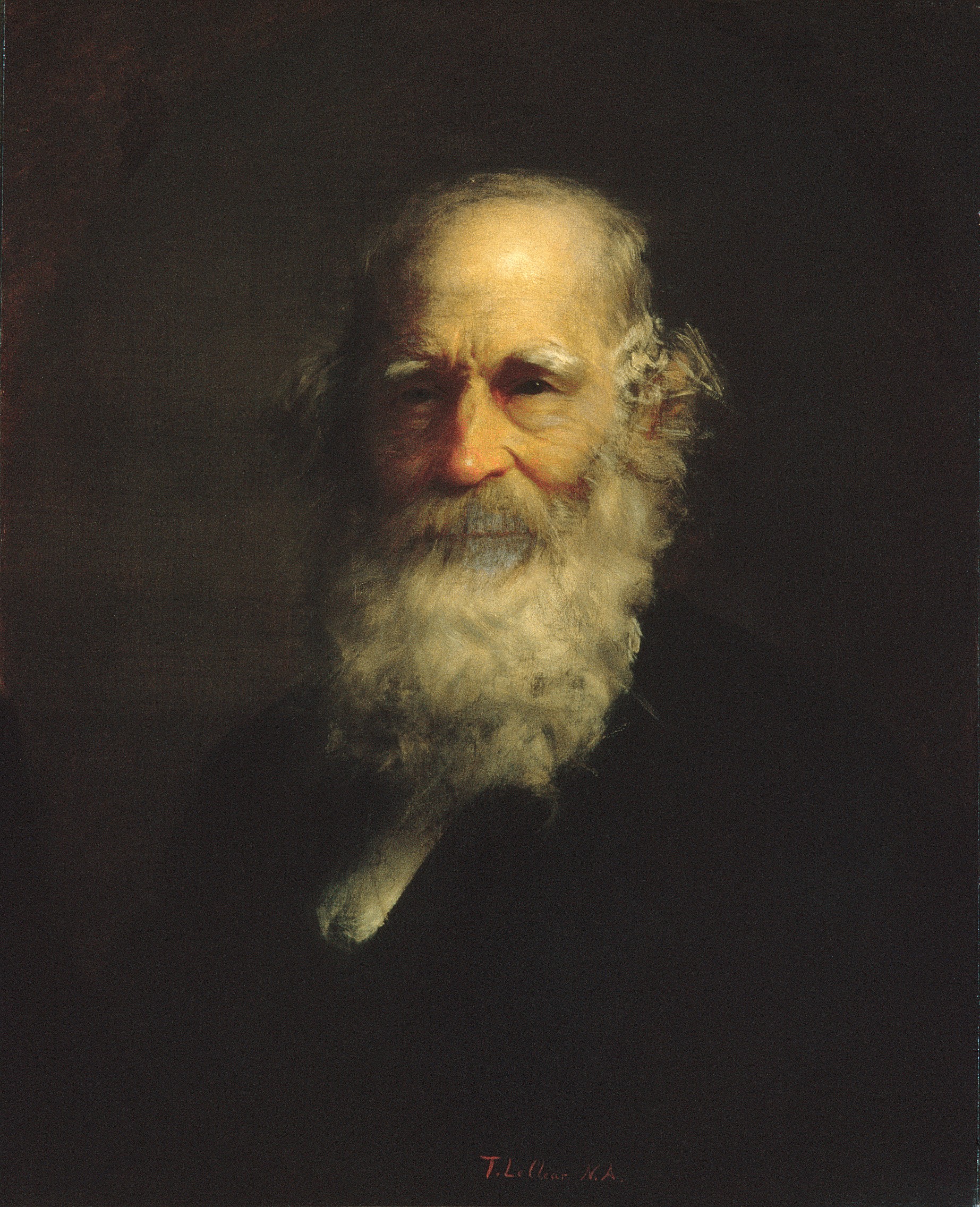 Portrait of an Elderly Bearded Man