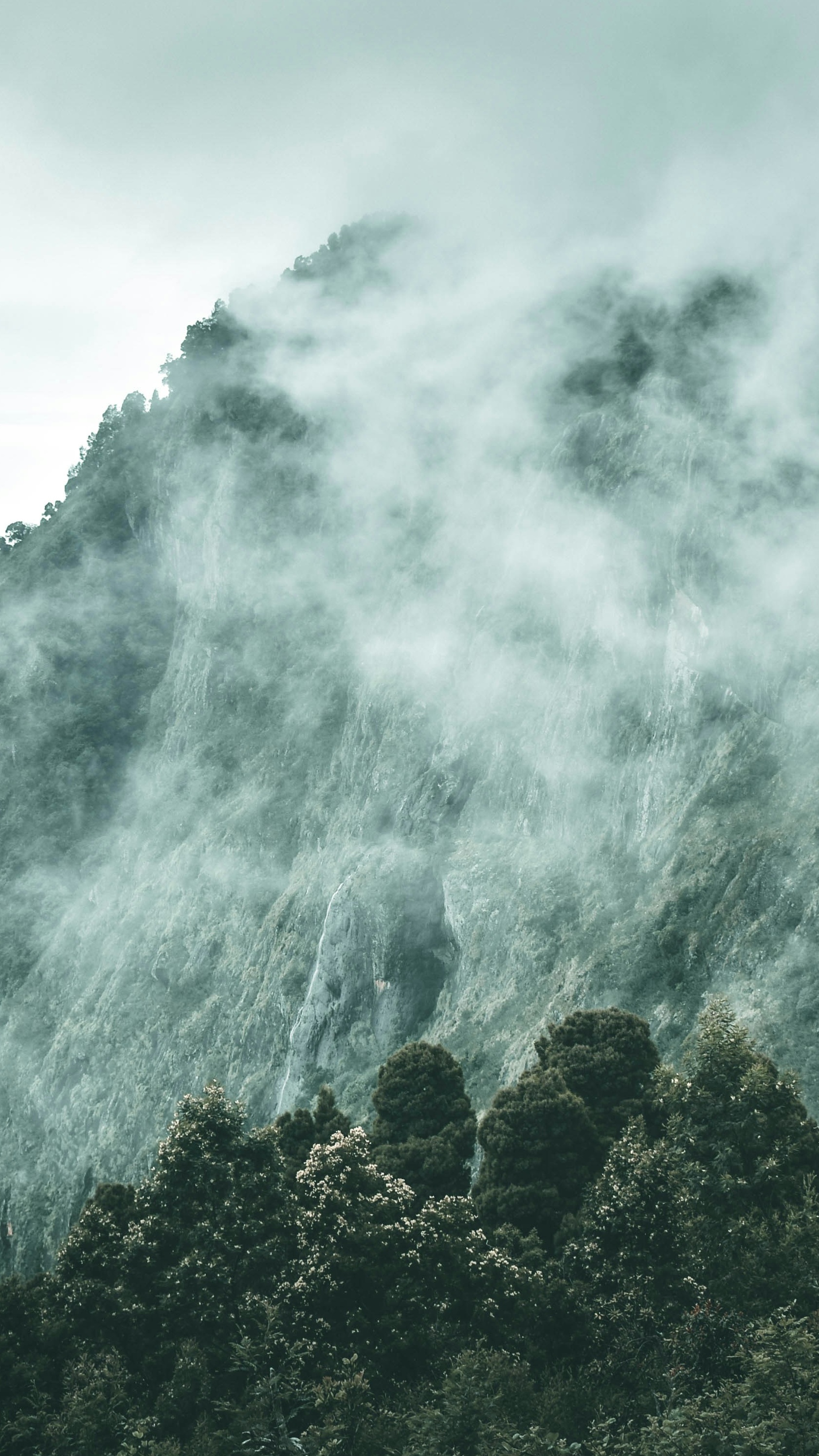 Landscapes