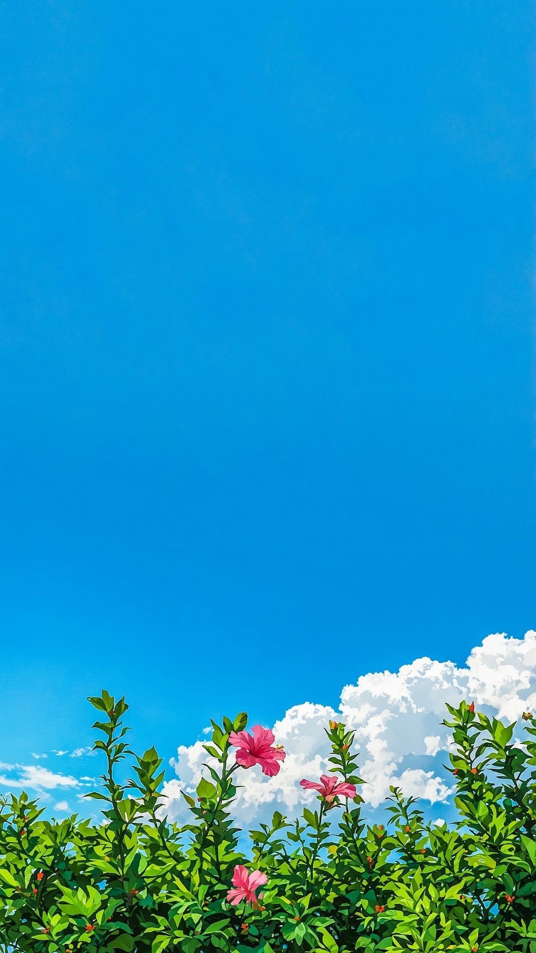 Wallpapers