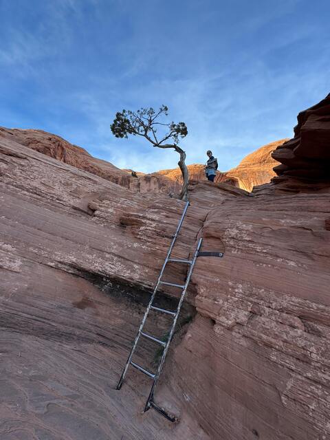 Ladder on Red Rock Hiking Trail