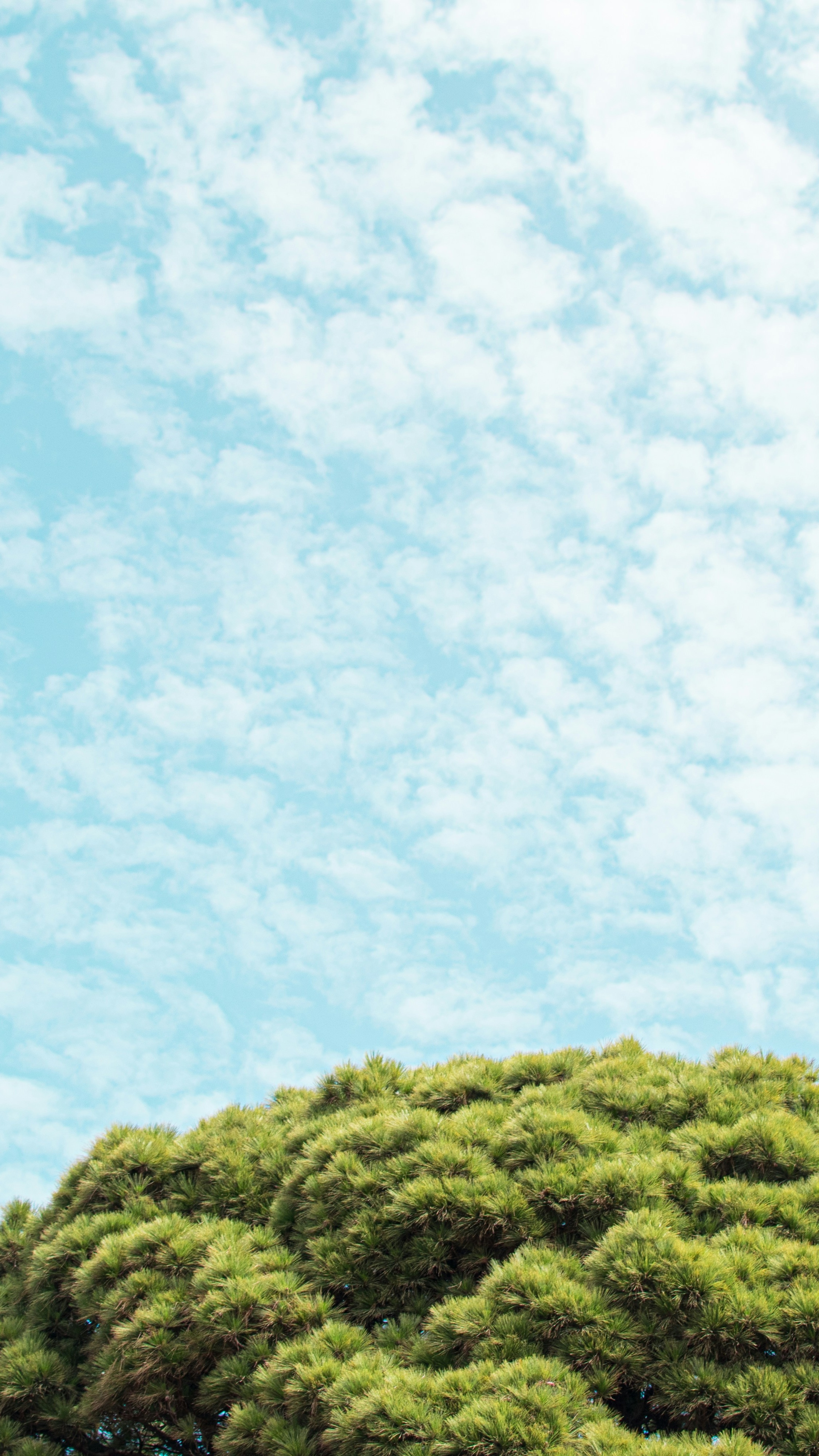 Sky Series
