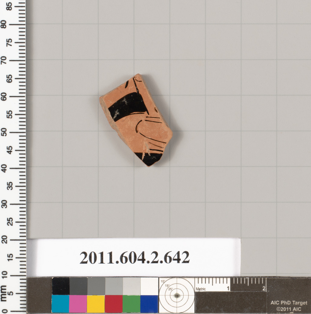 Ancient Terracotta Pottery Shard