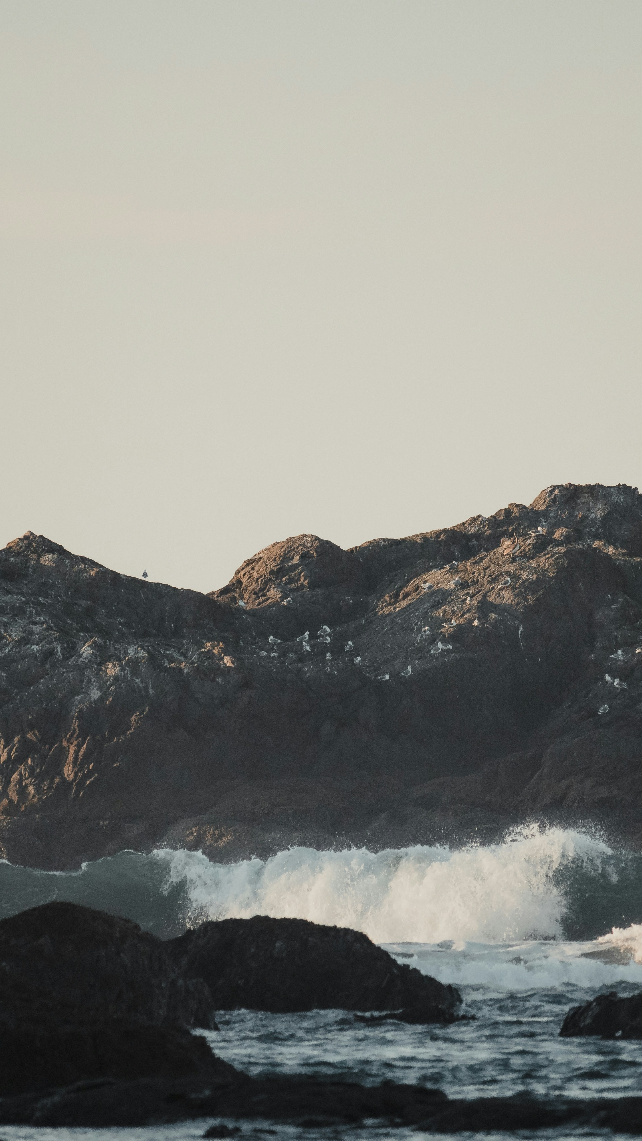 Wallpapers
