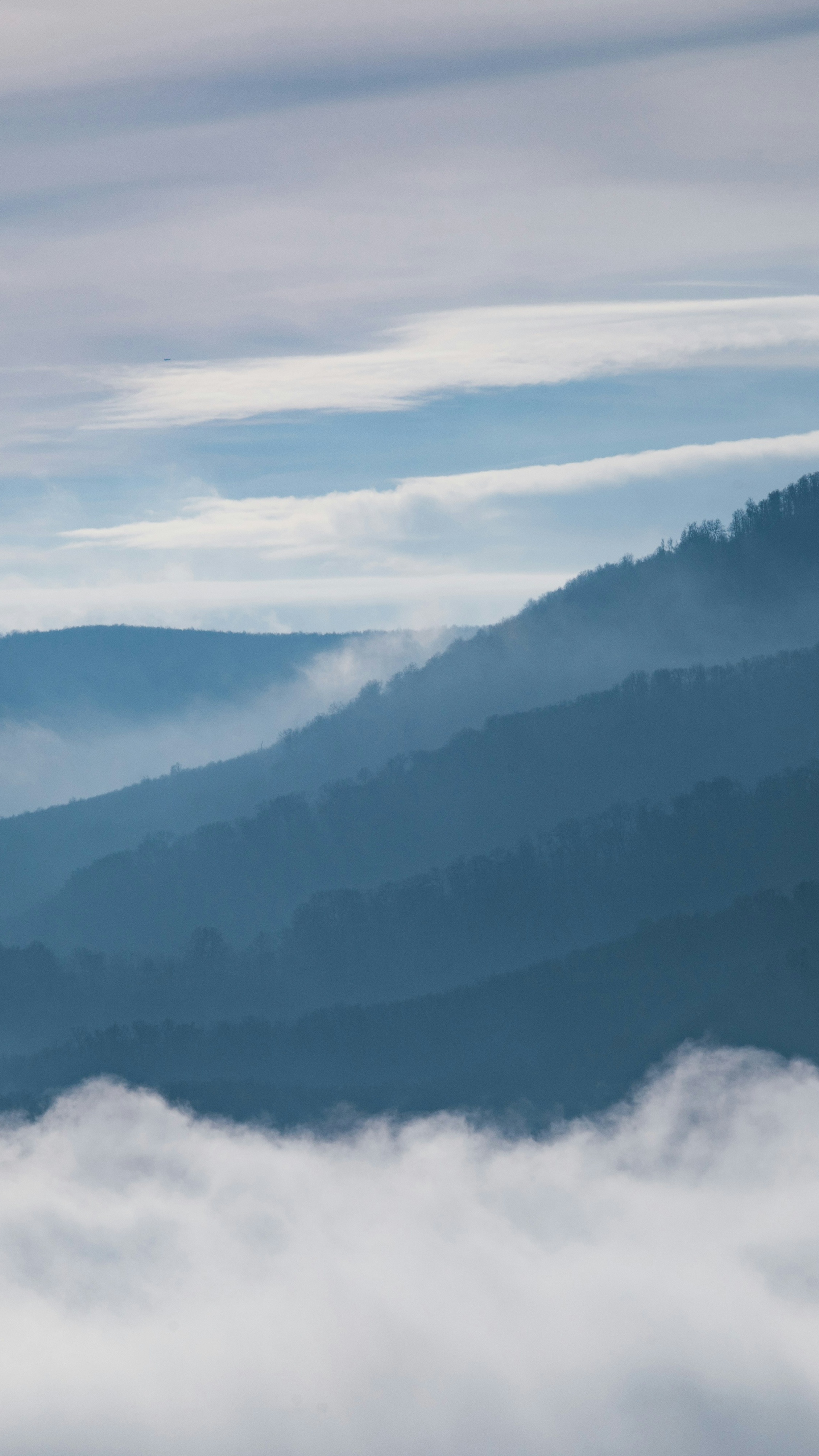 Landscapes