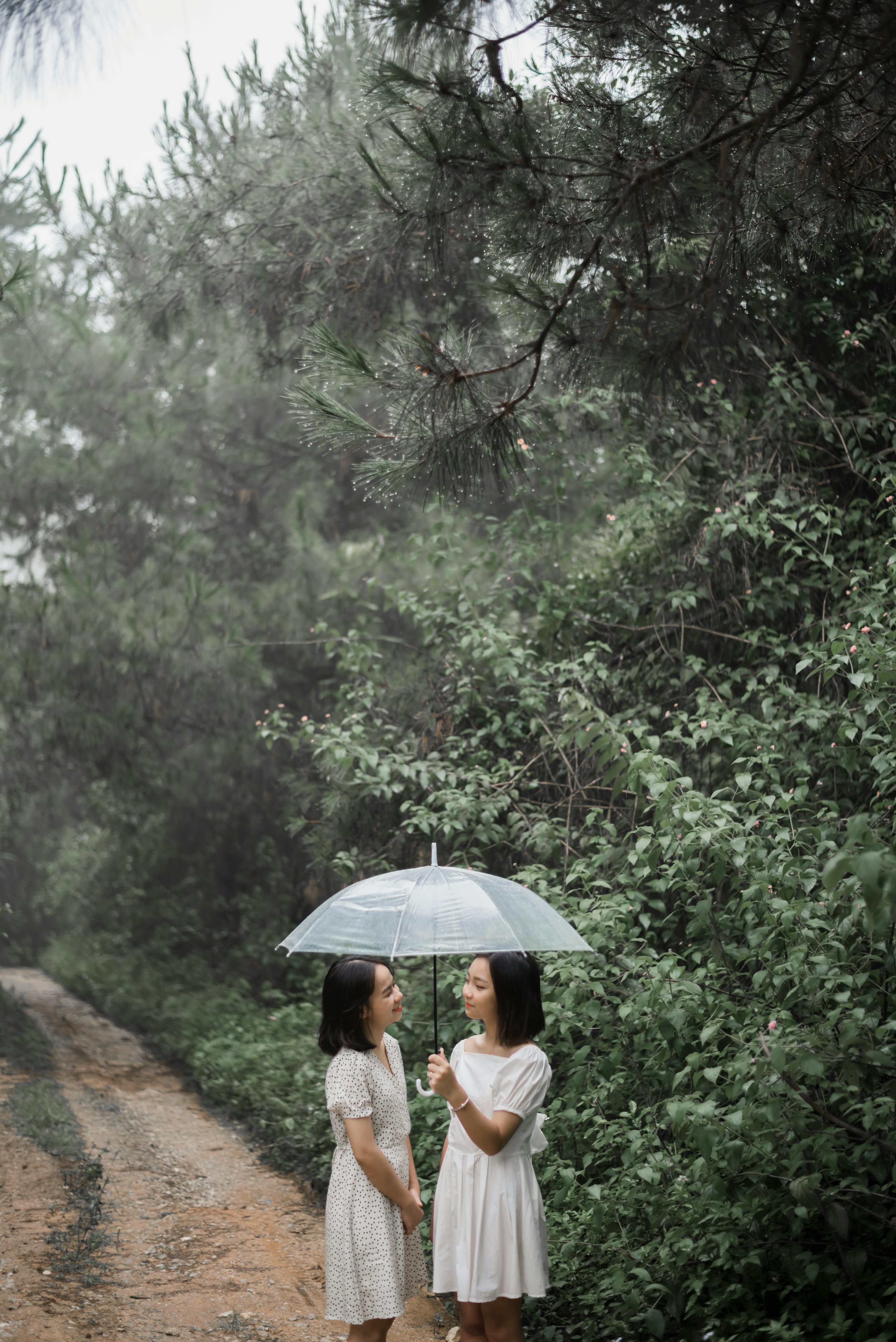 Image 1506977 — Beauty