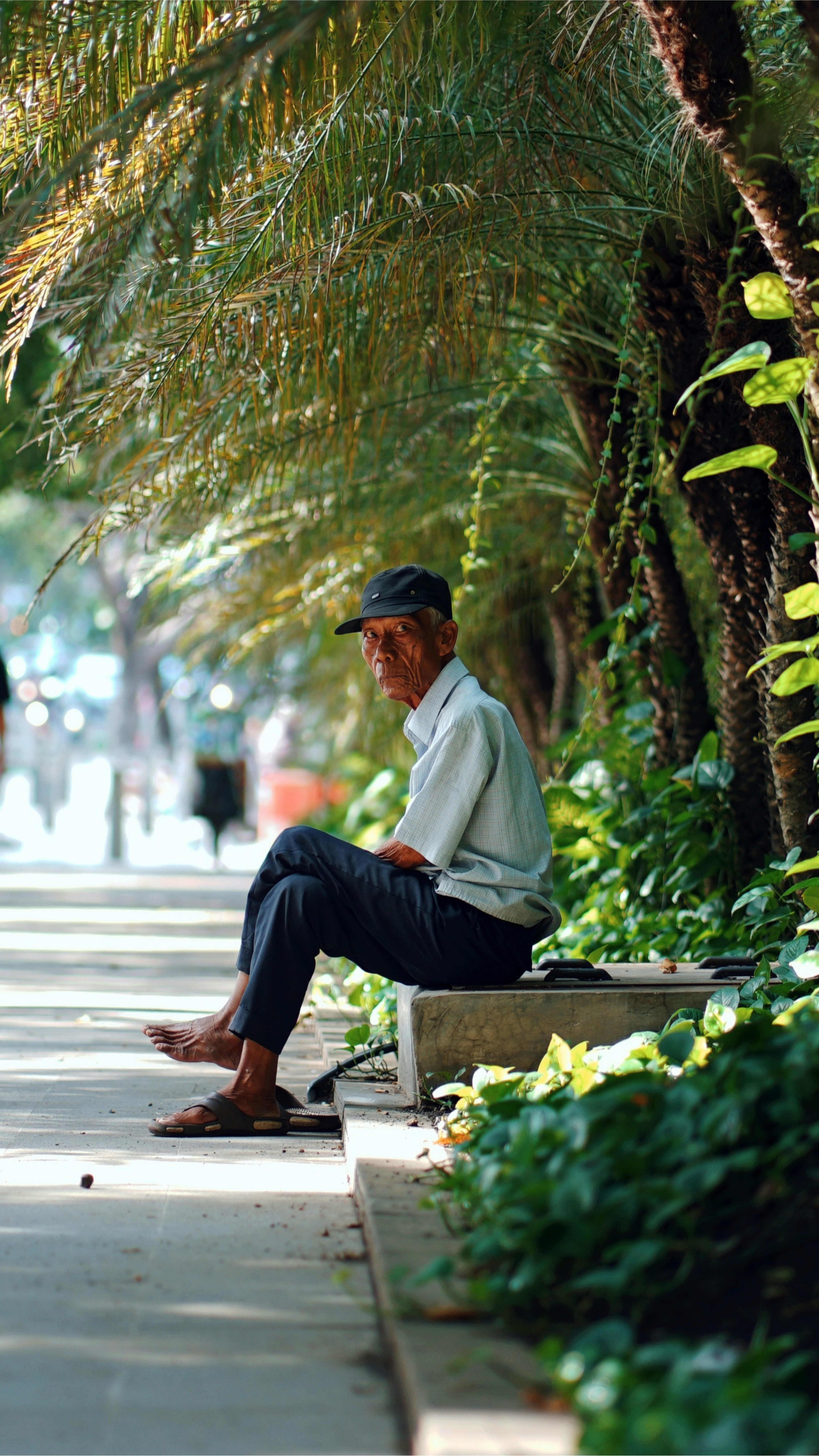 Elderly Man Resting On Park Sidewalk
