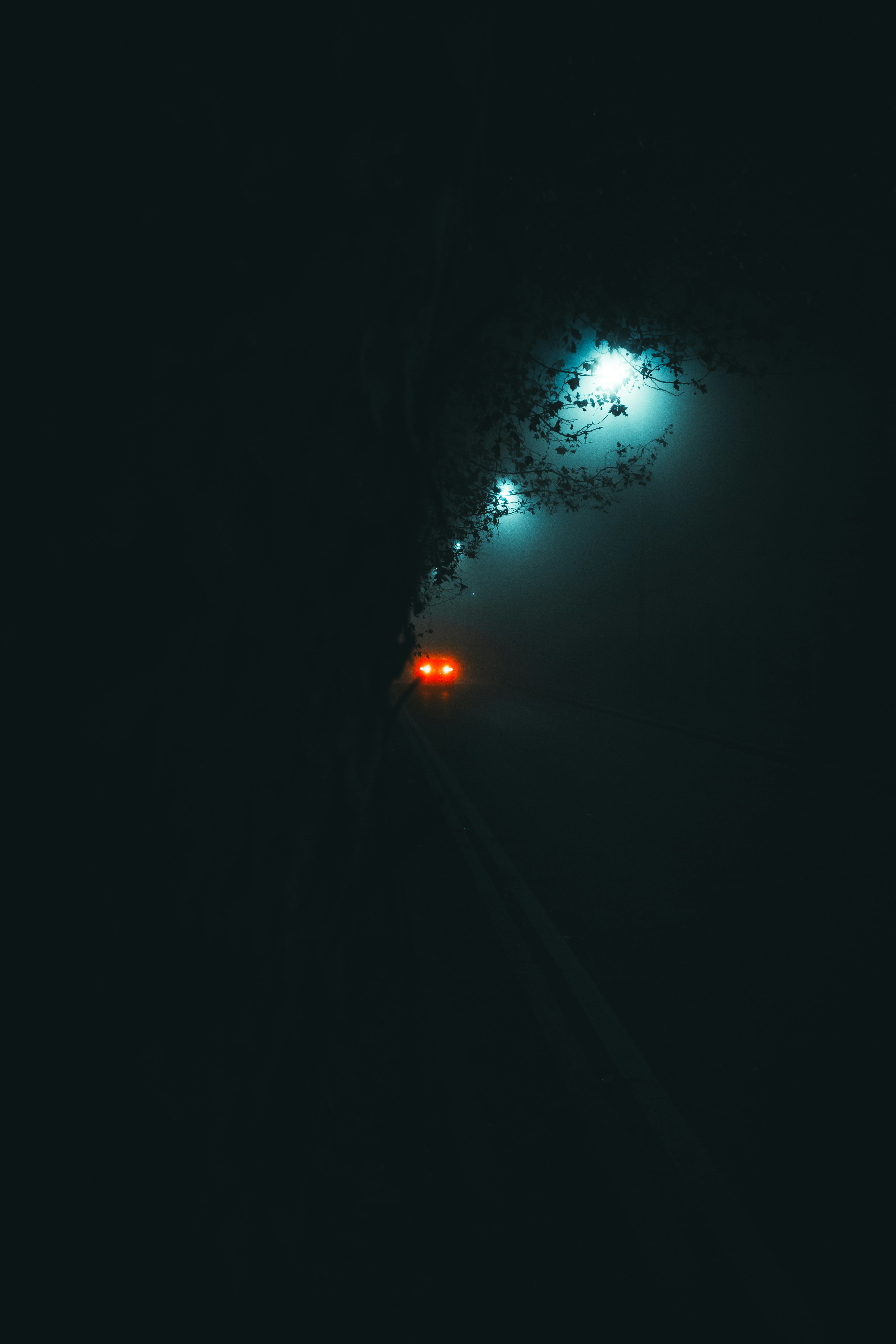 Foggy Night Road With Car