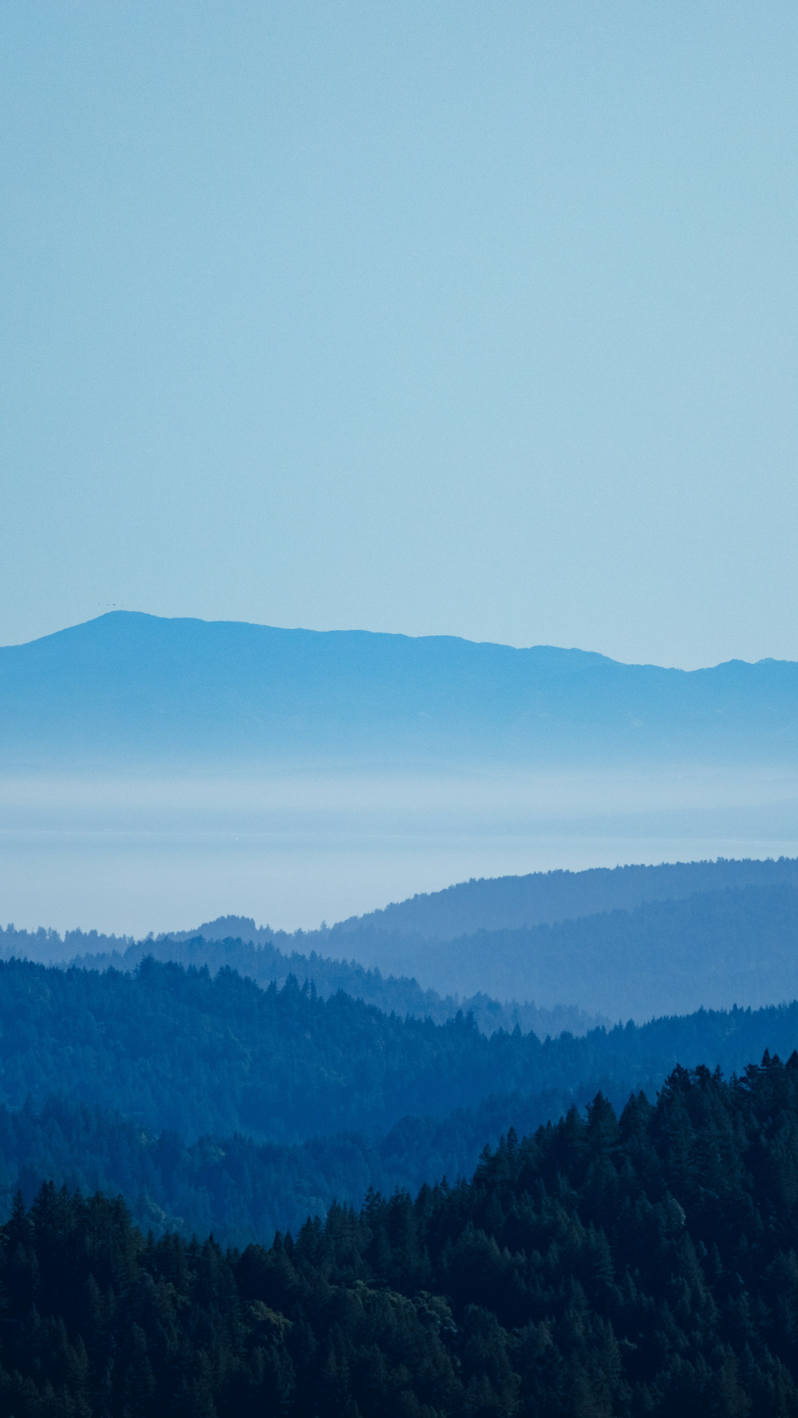 Landscapes