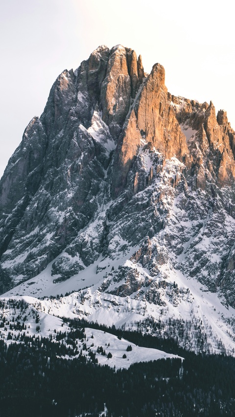 Sunlit Snowy Rocky Mountain Peak