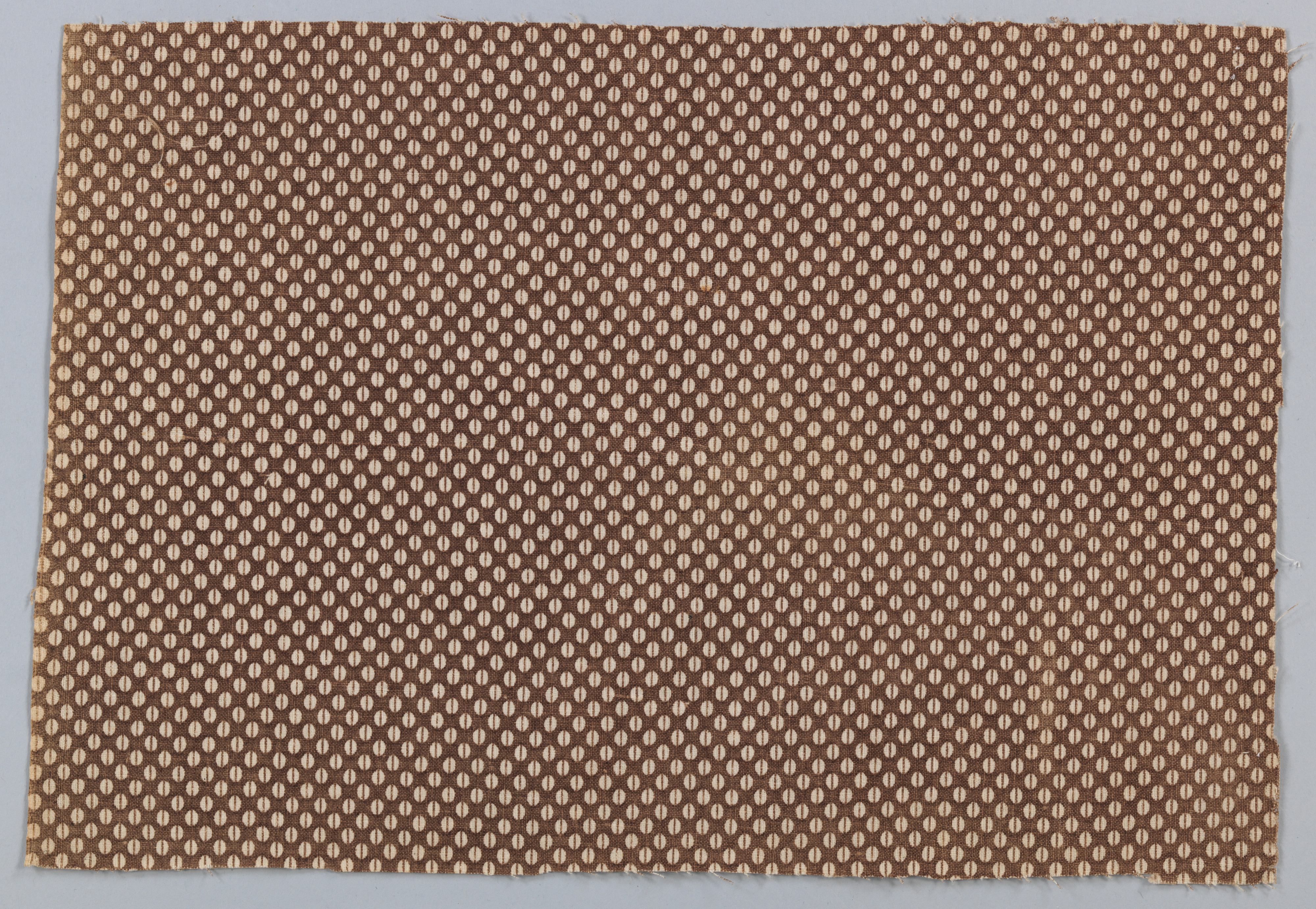 Brown Polka Dot Fabric Sample