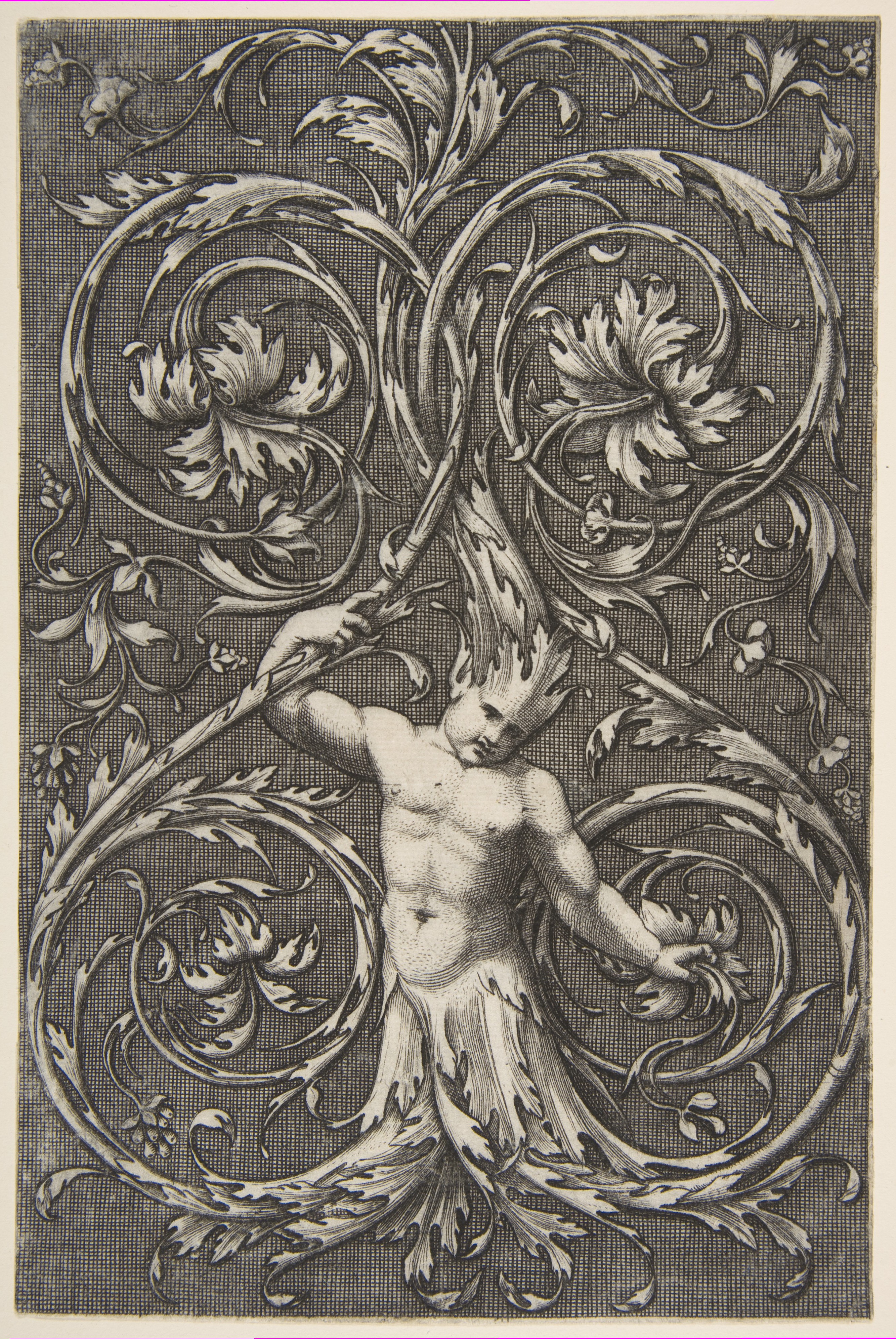 Engraving of Man Merged with Foliage