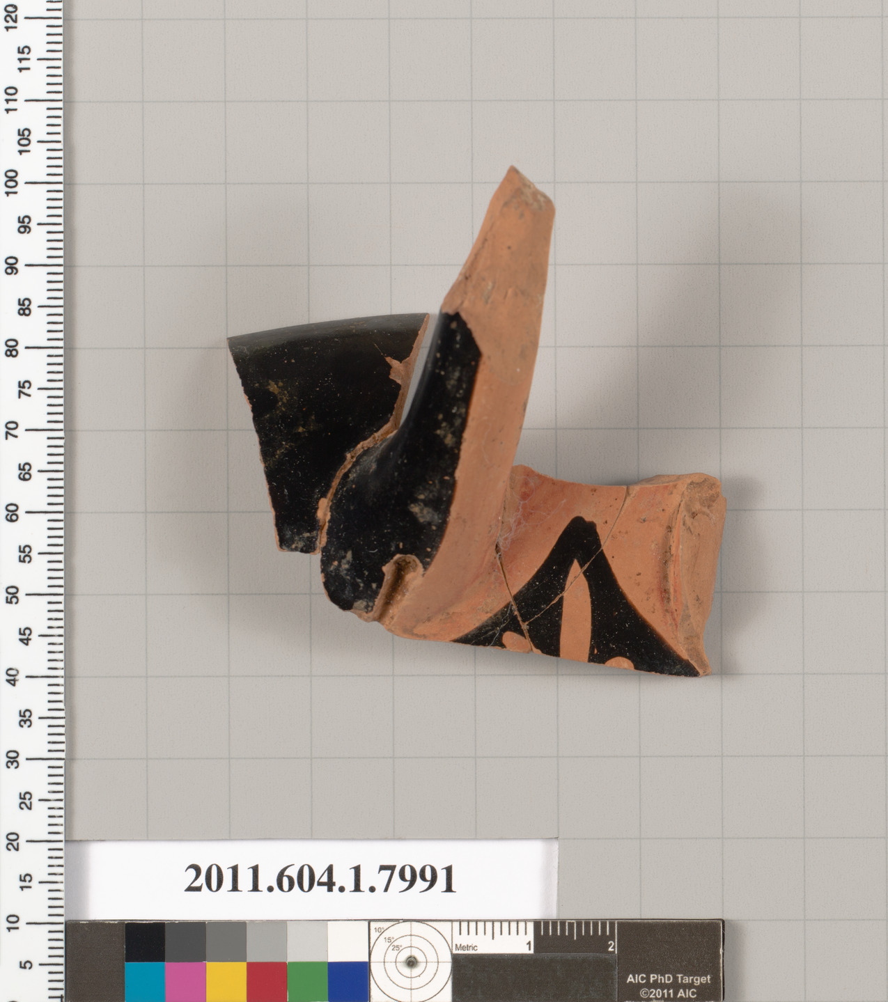Ancient Pottery Fragment