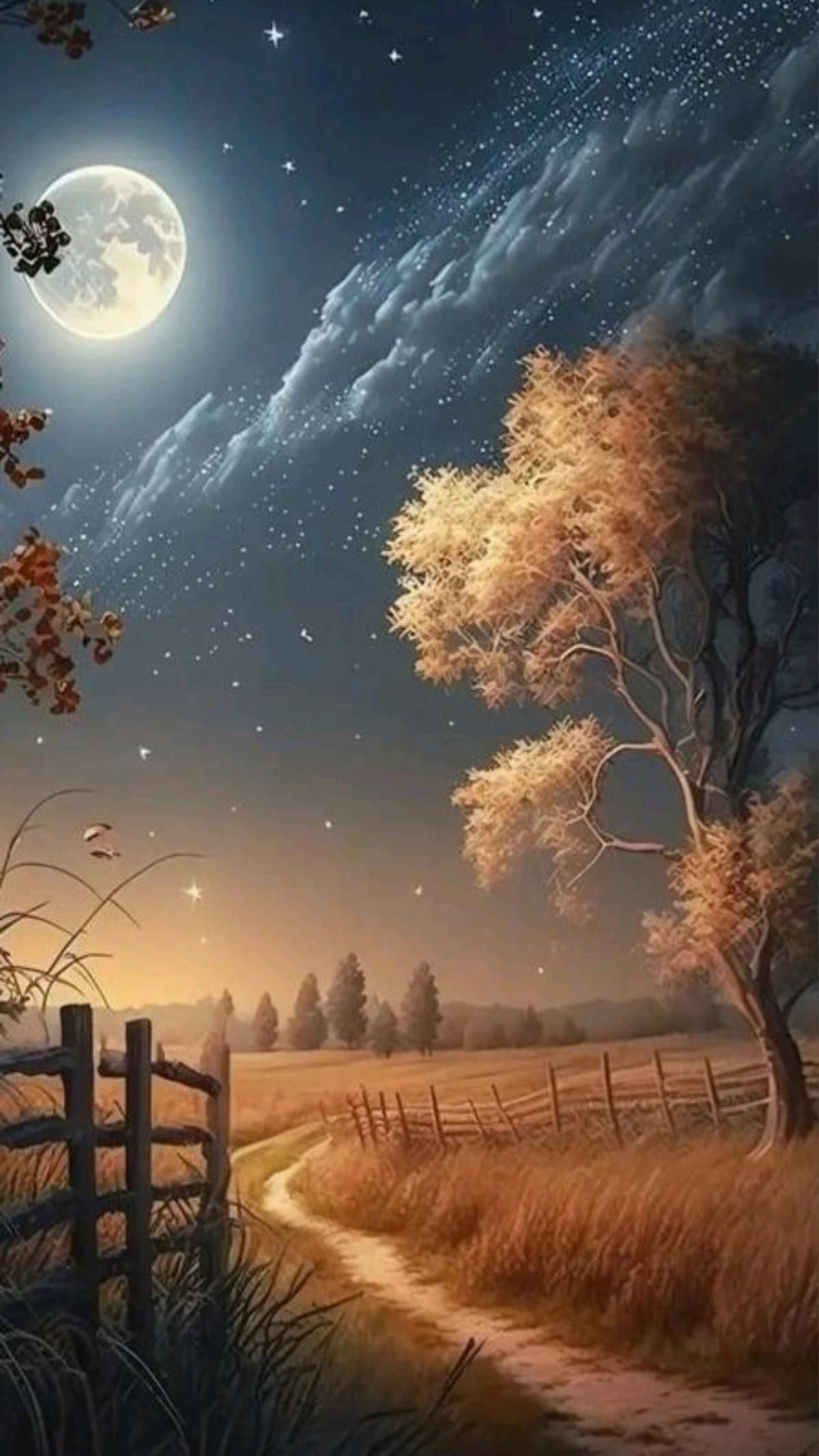 Wallpapers