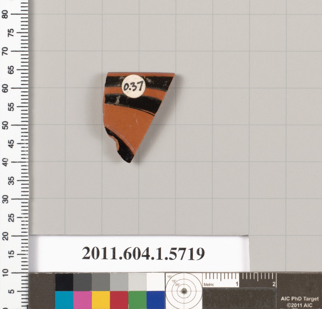 Ancient Pottery Fragment Specimen