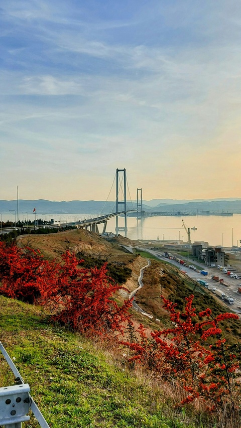 Coastal Suspension Bridge Landscape