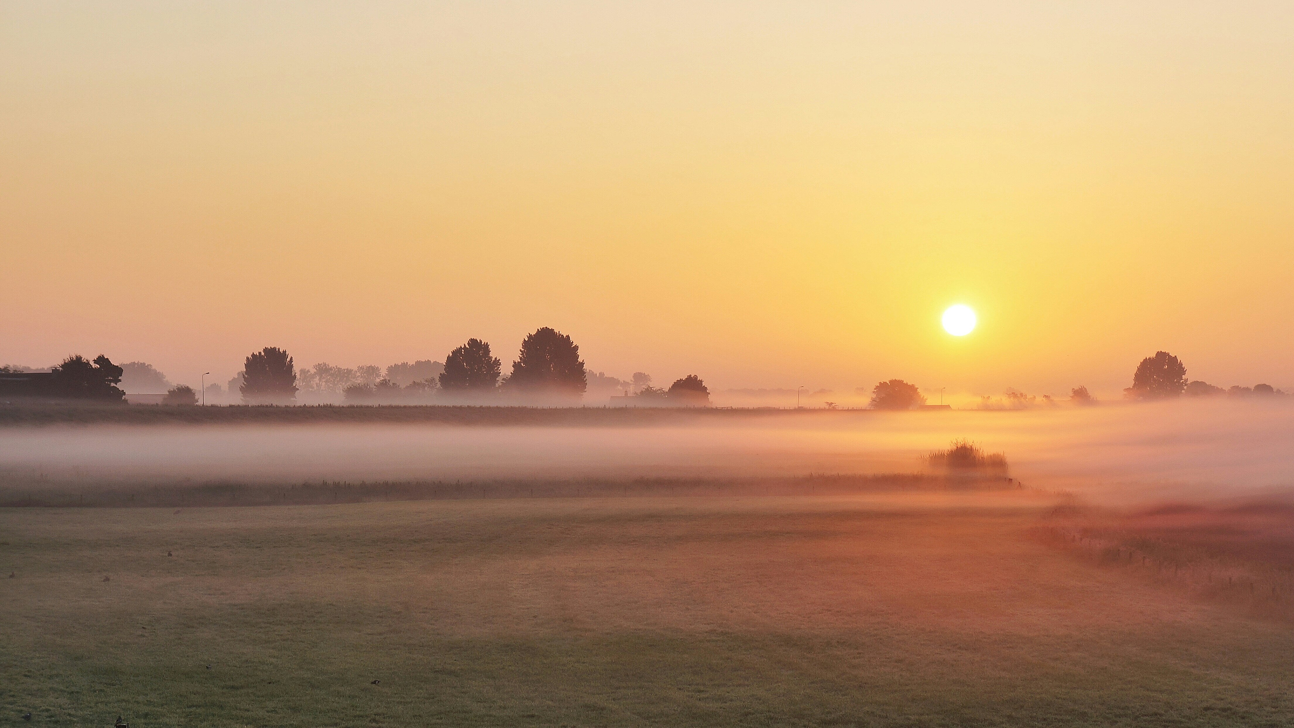 Sunrise Over Foggy Meadow