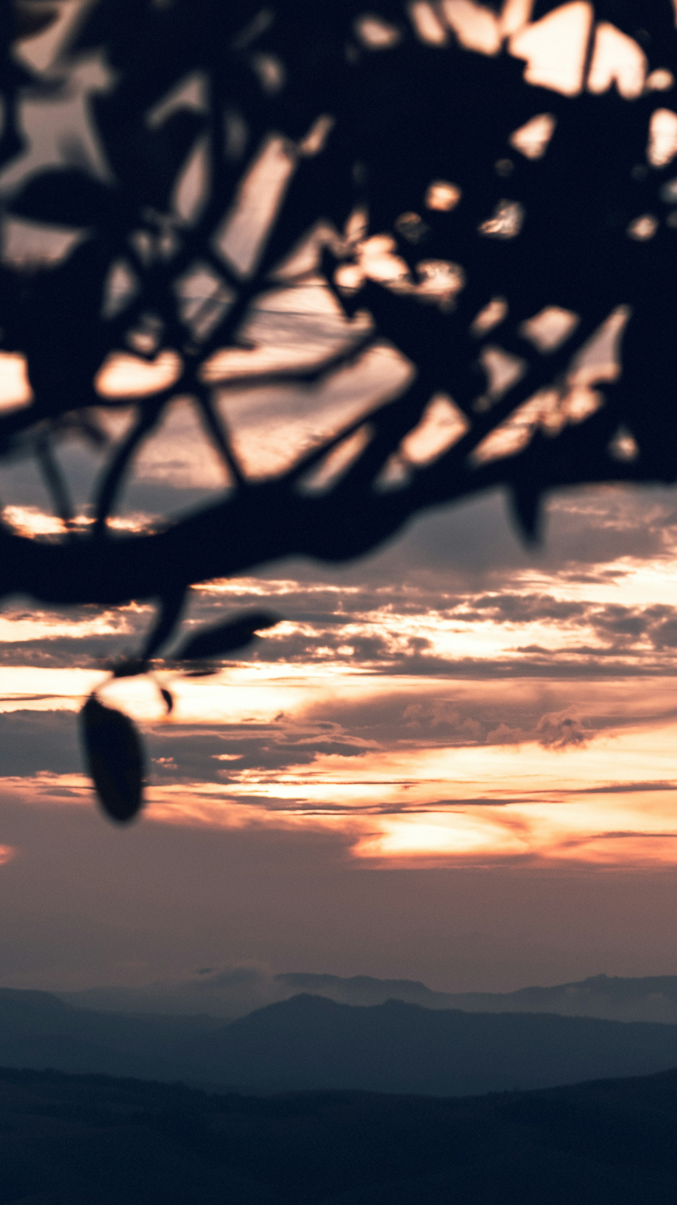 Landscapes