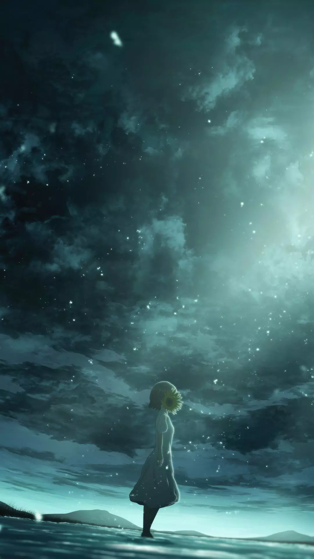 Wallpapers