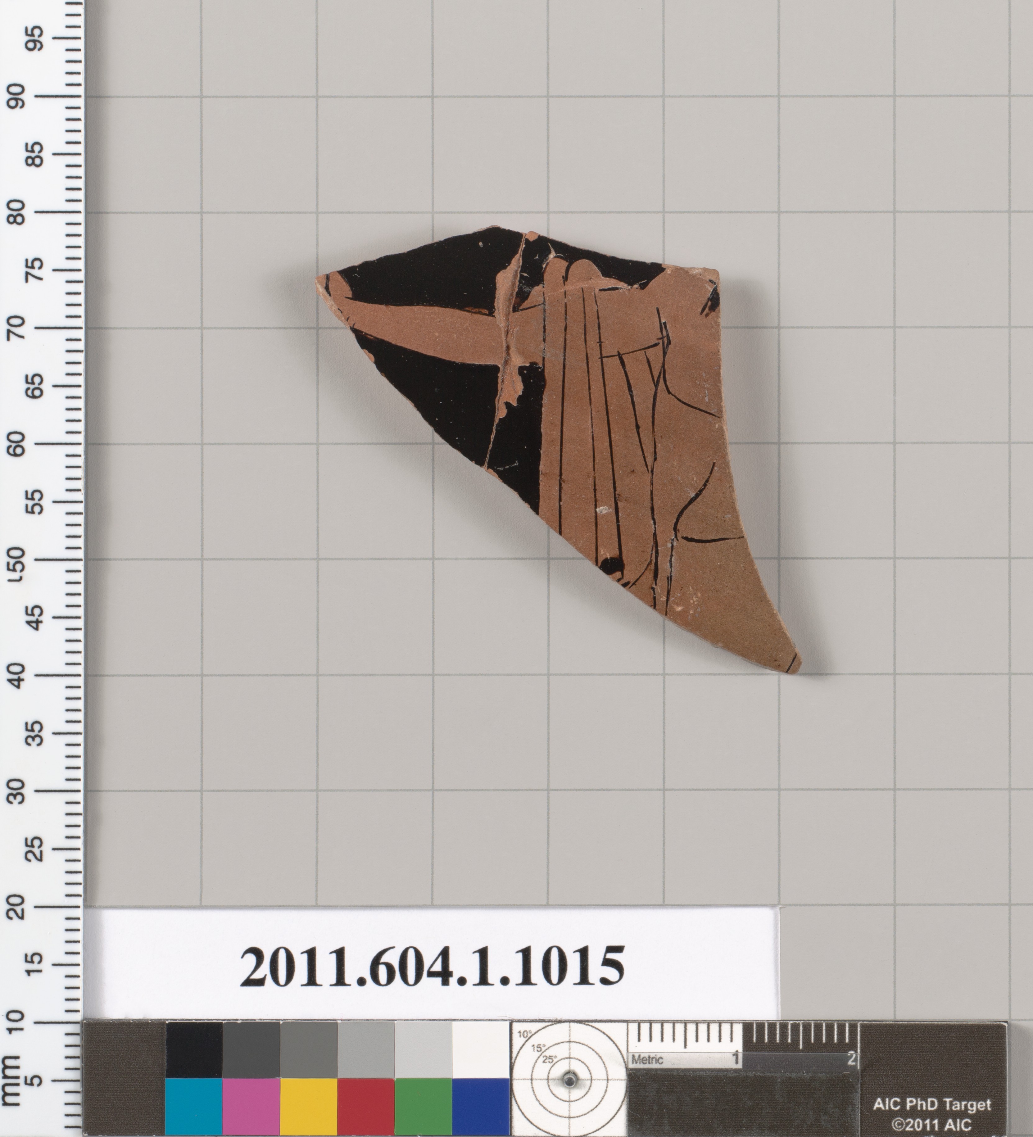 Ancient Pottery Fragment