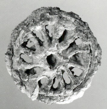 Porous Spherical Fossil Specimen