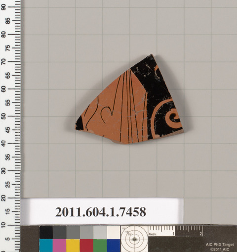 Ancient Terracotta Pottery Fragment