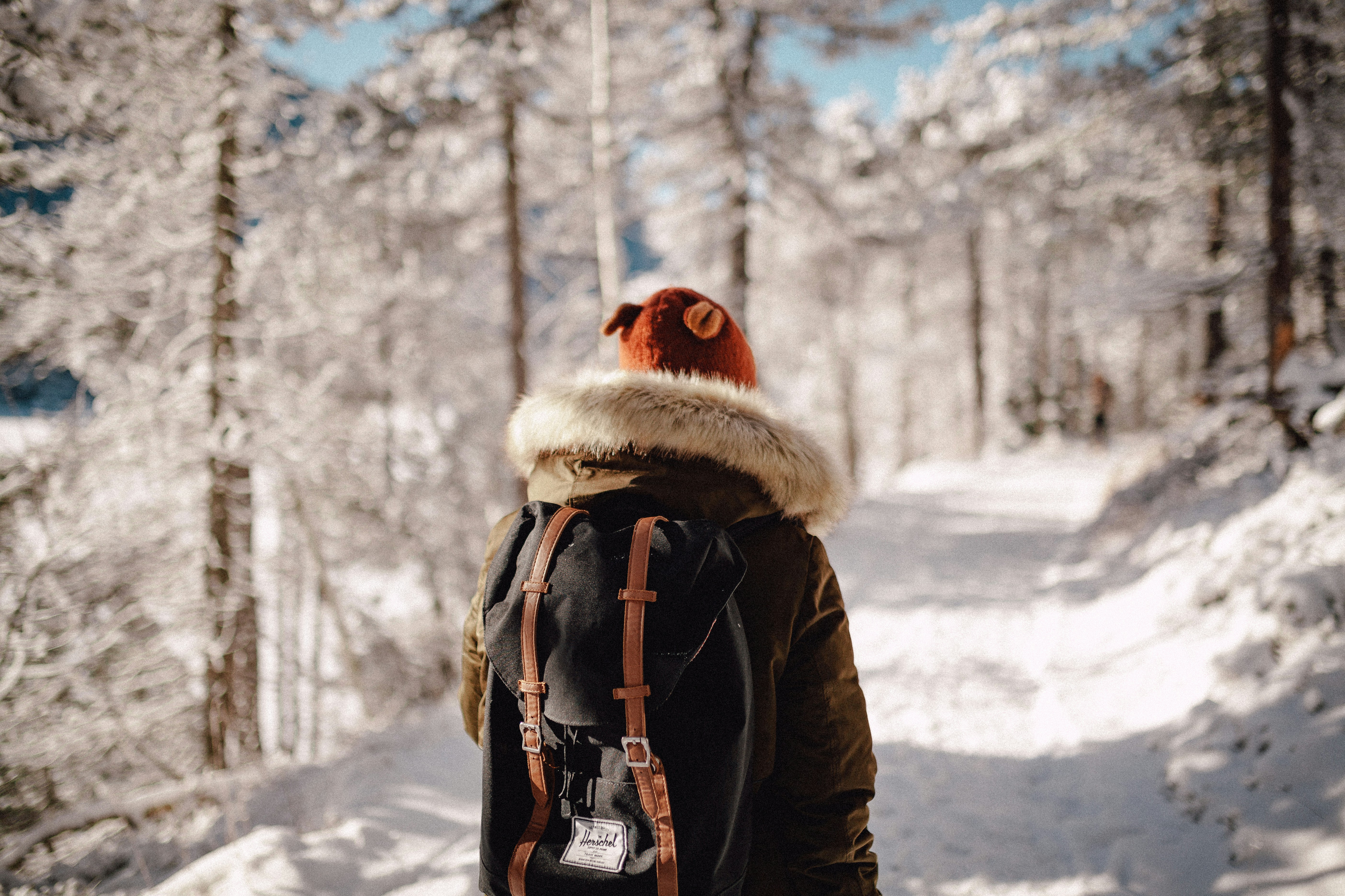 Hiker on Snowy Forest Path