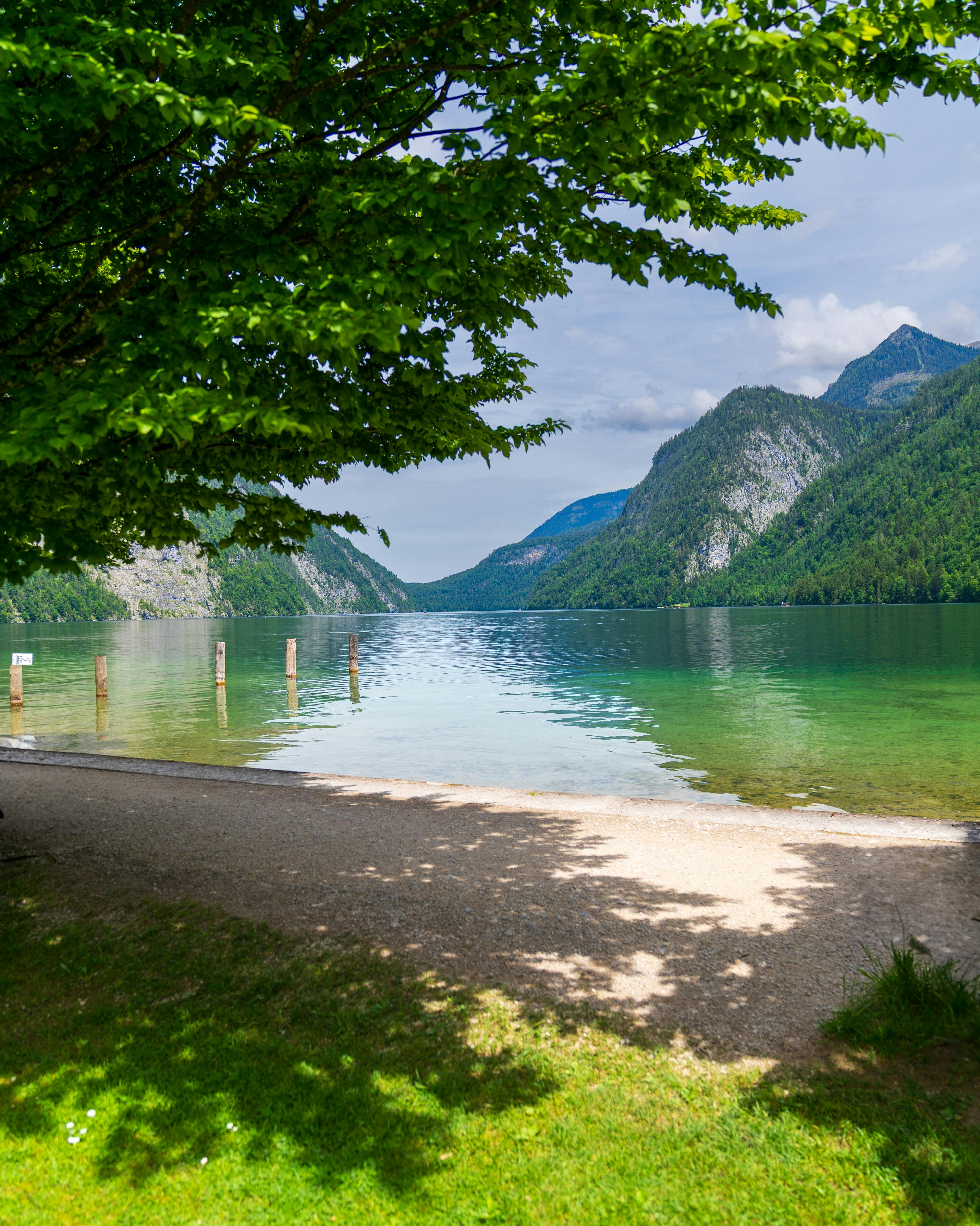 Alpine Lake Shore View