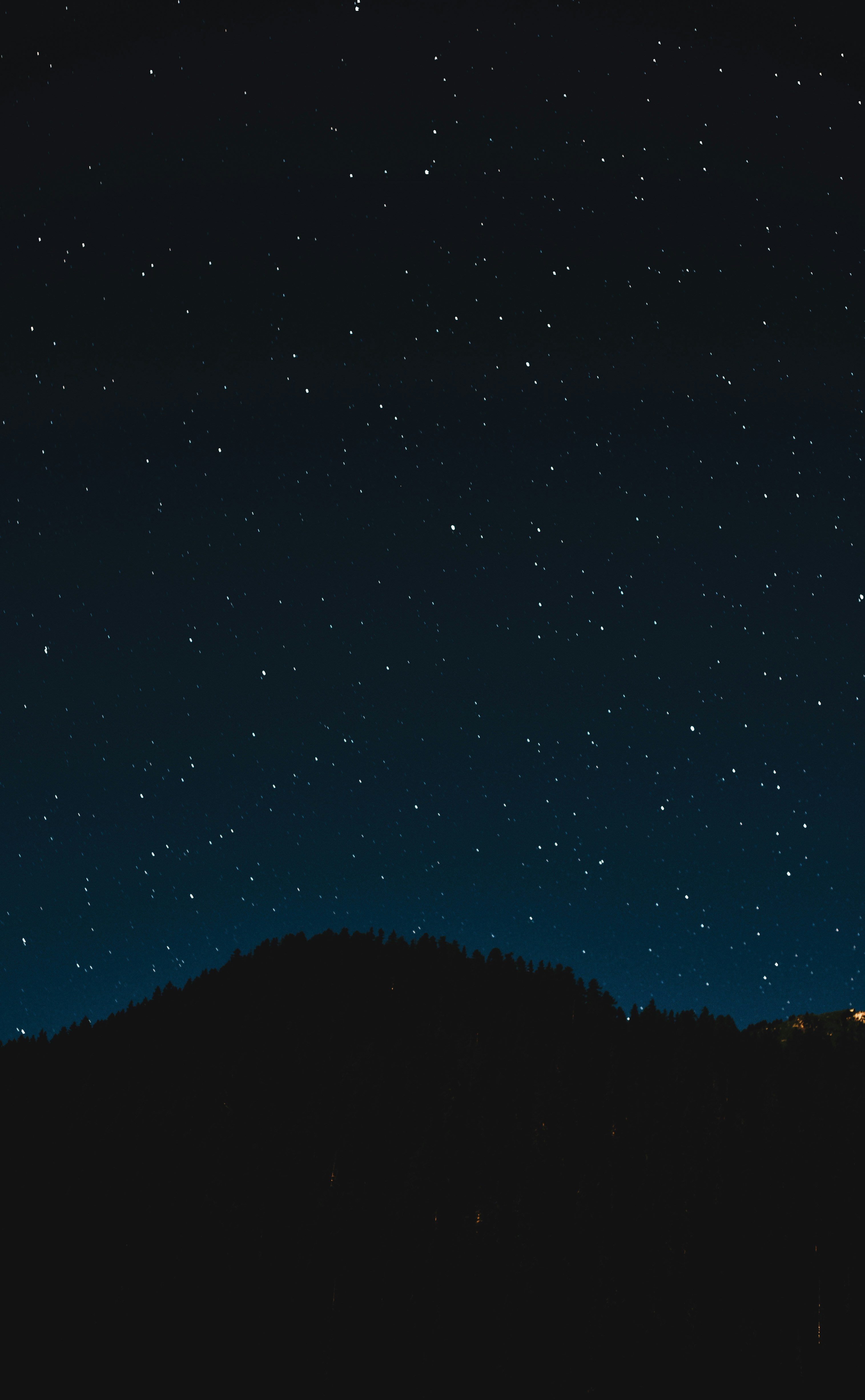 Starry Night Sky Over Forested Hill