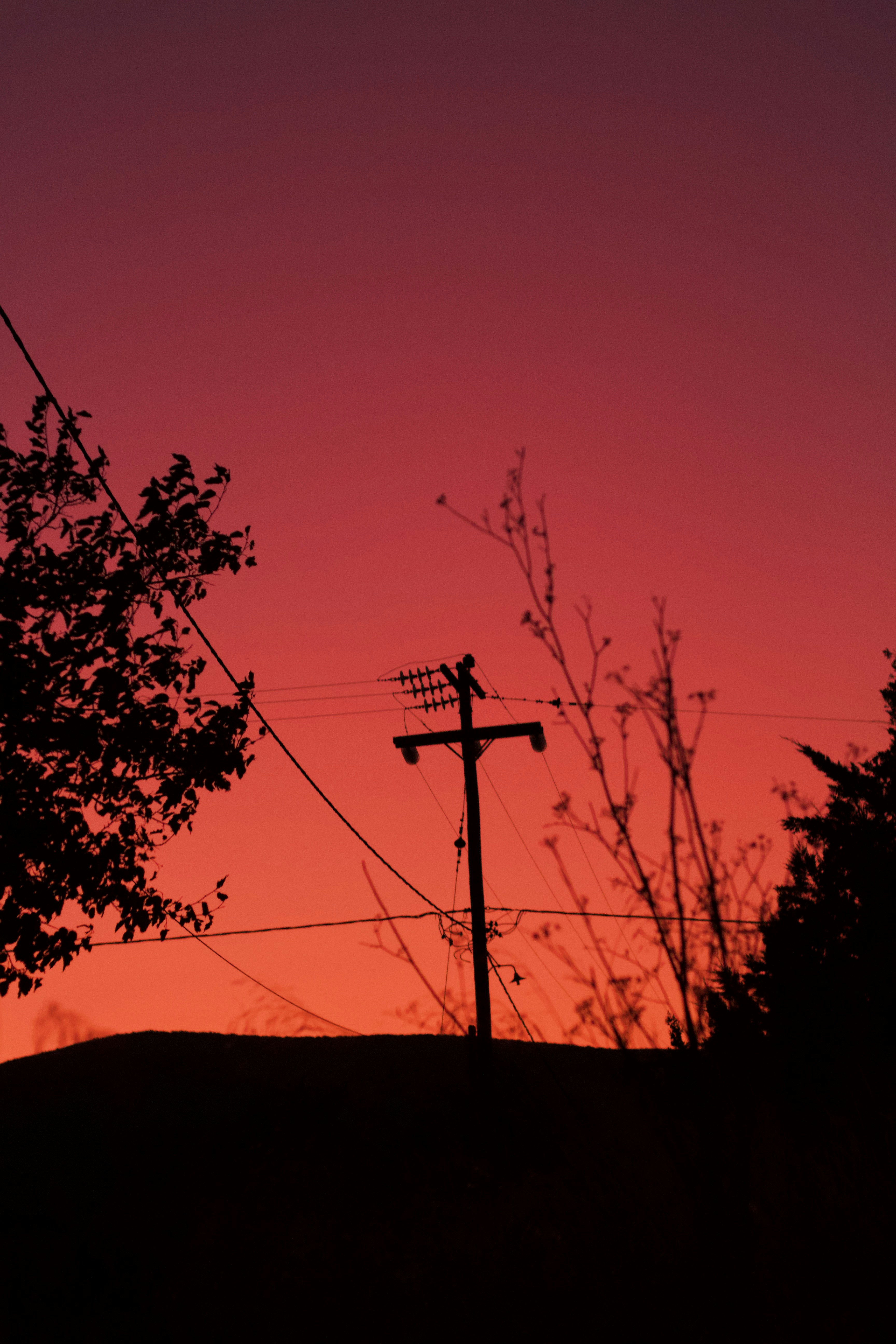 Utility Pole Silhouette at Sunset