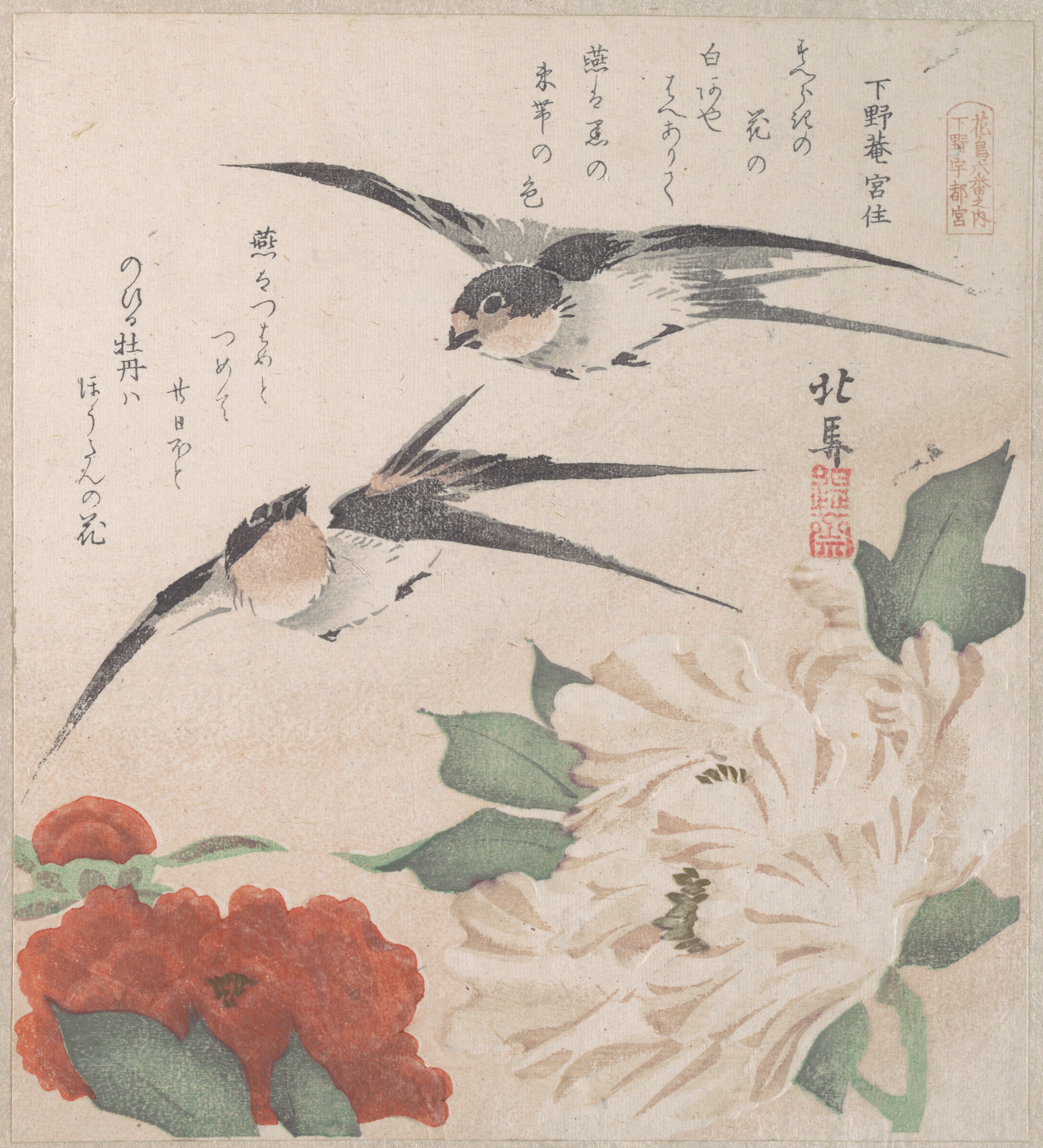 Peonies and Swallows Ukiyo-e Print