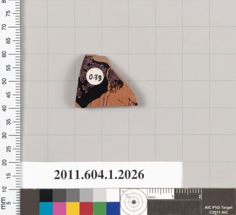 Museum Cataloged Pottery Shard