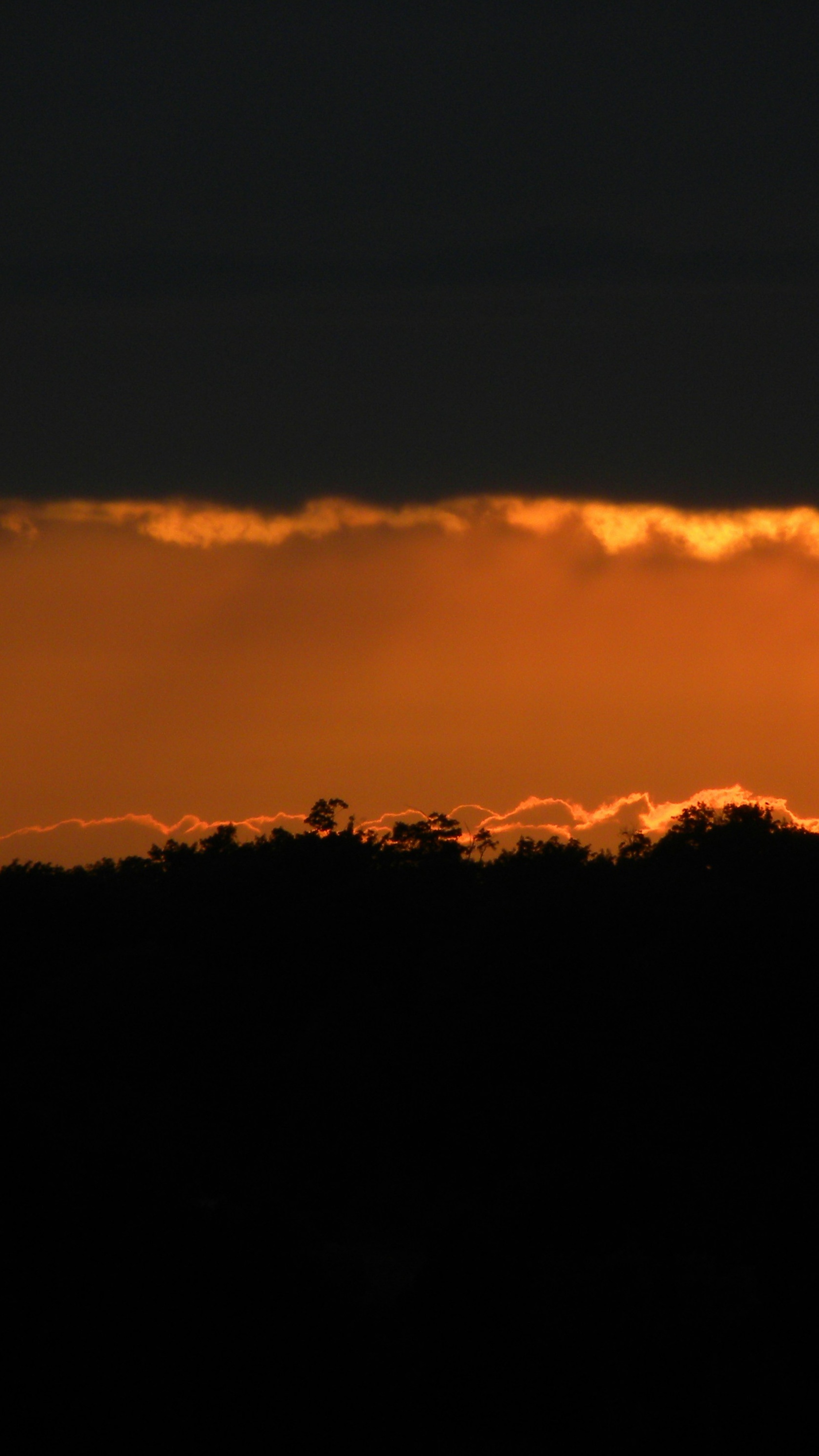 Sunset Over Silhouetted Forest