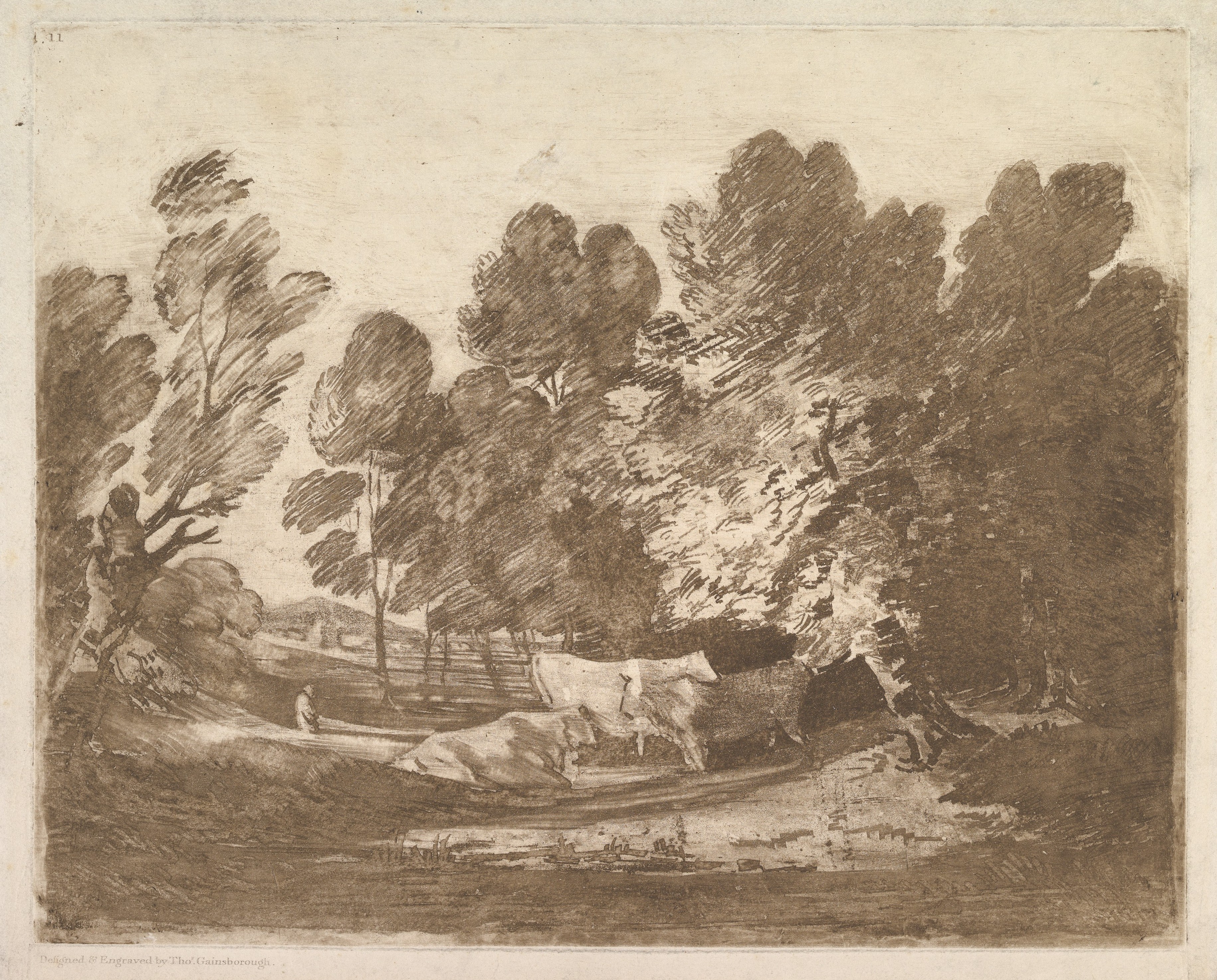 Wooded Pasture with Cows