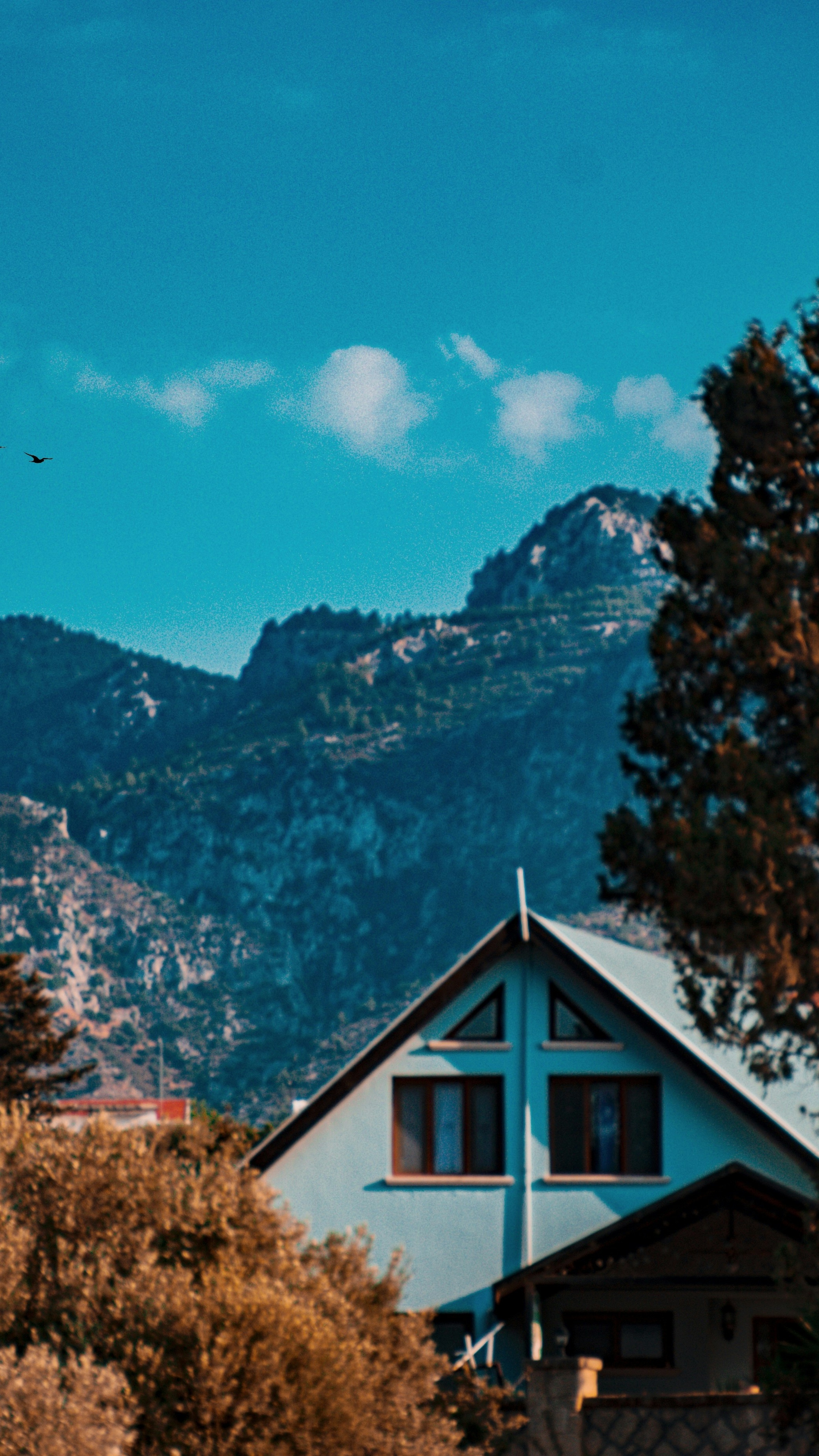 Wallpapers