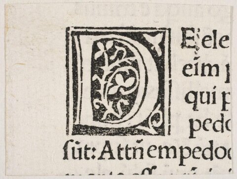 Decorative Initial D on Antique Printed Page