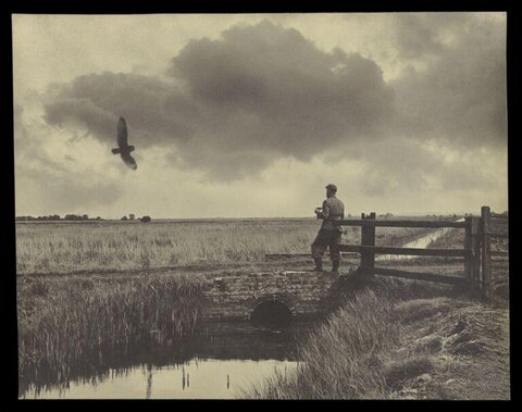 Falconer Watching Hawk Over Marsh Bridge