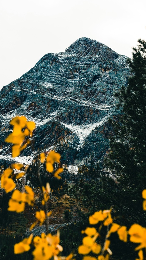 Snow-dusted Mountain in Autumn