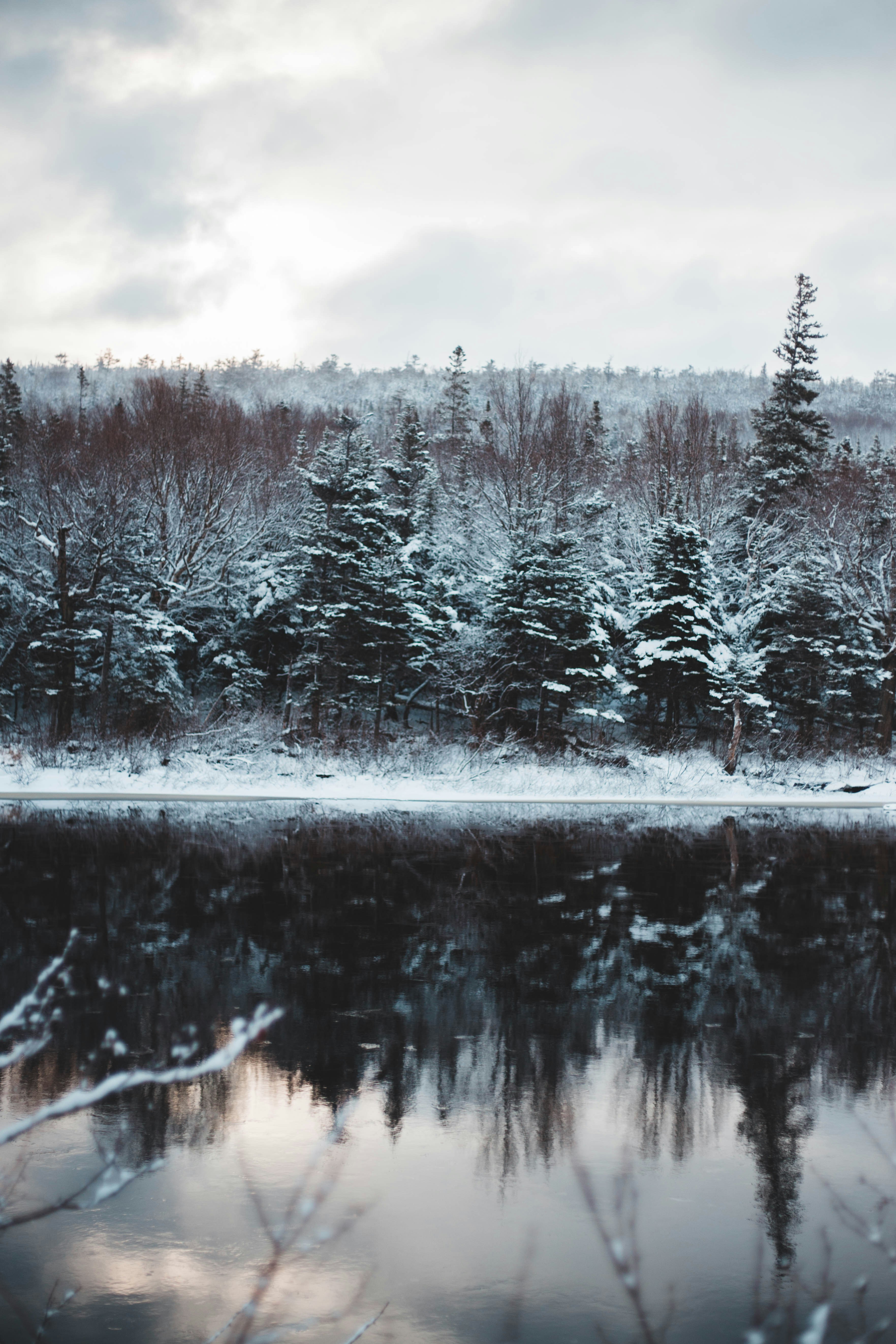 Snowy Forest by Calm Lake