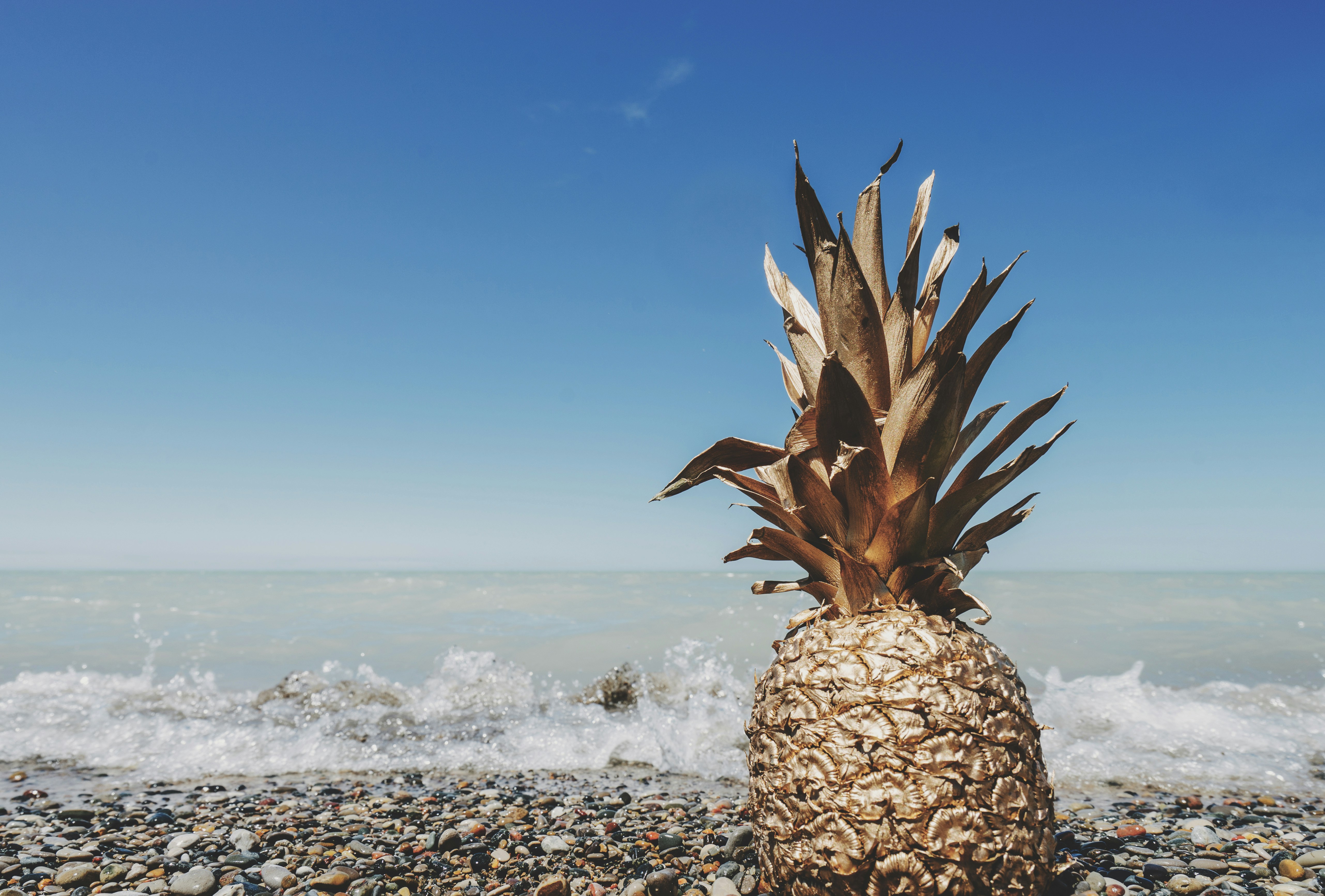 Dried Pineapple on Pebble Beach