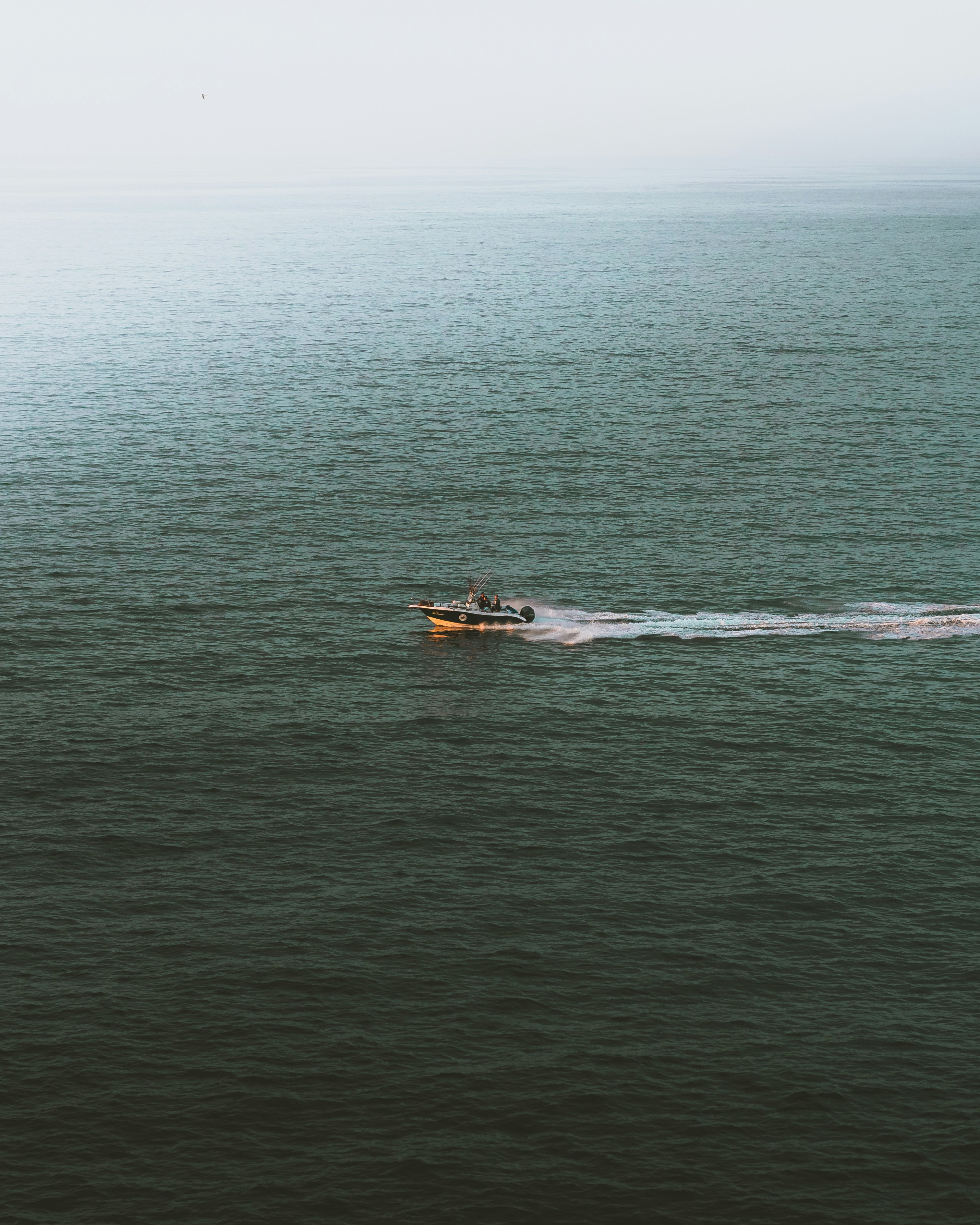 Speedboat Sailing on Open Sea