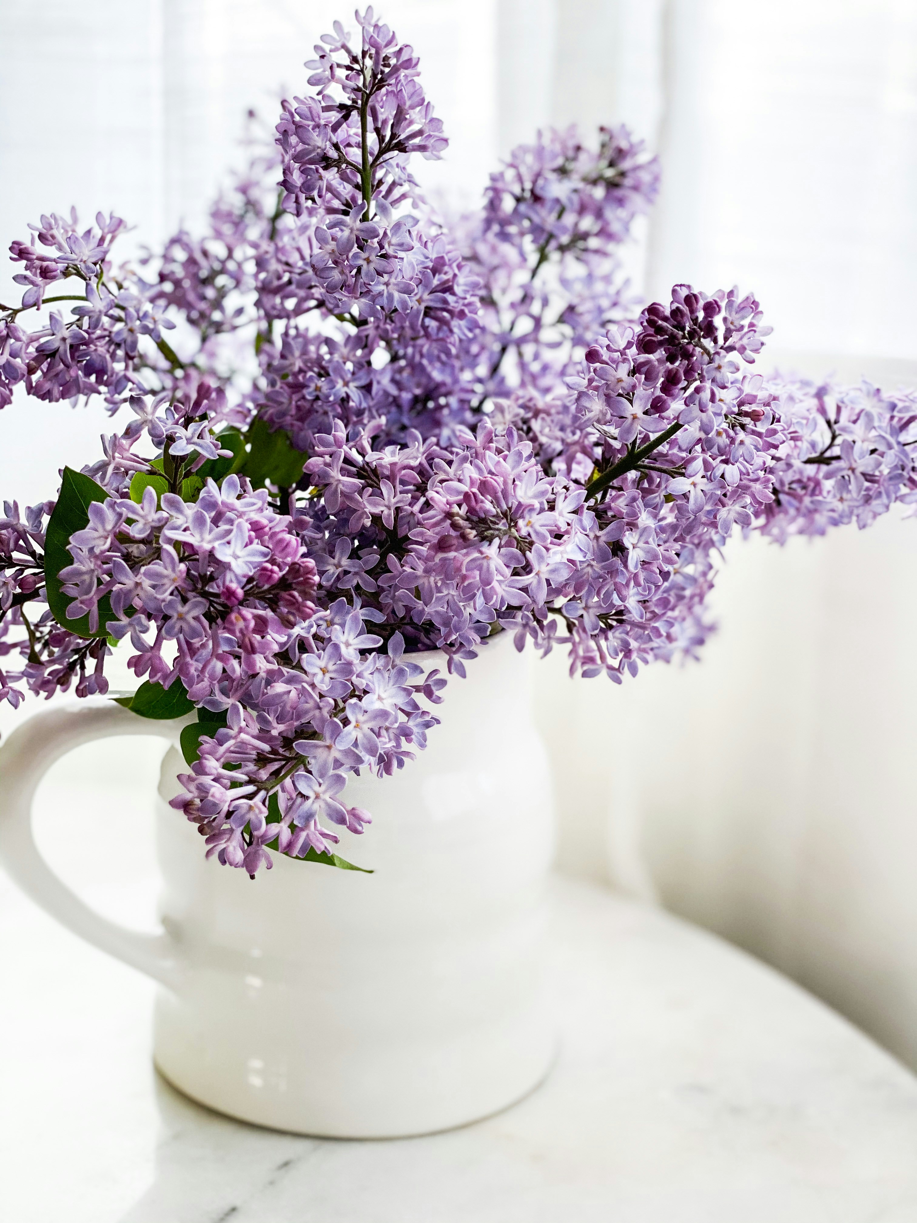 Lilac Bouquet in White Pitcher