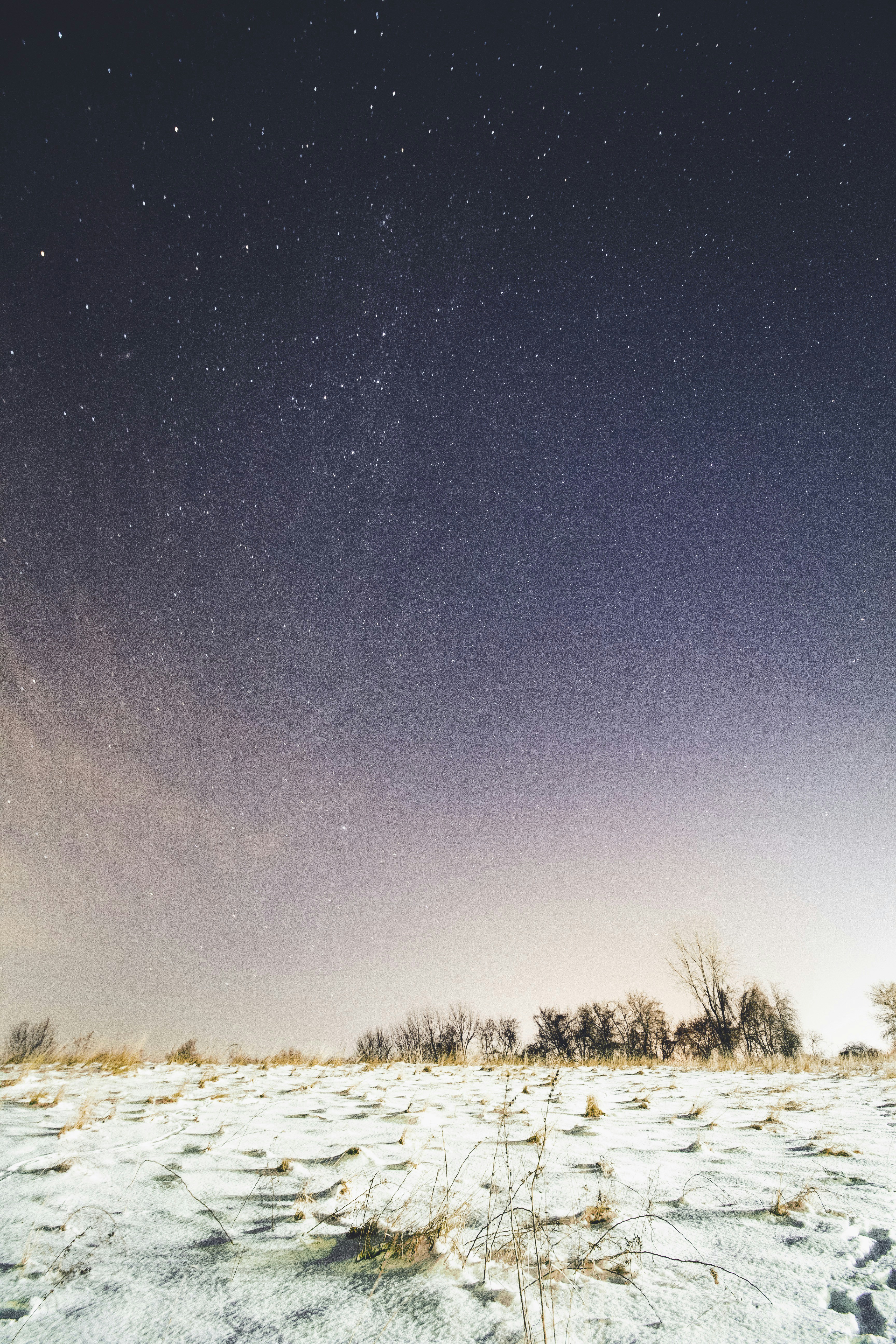 Starry Night Over Snowy Field
