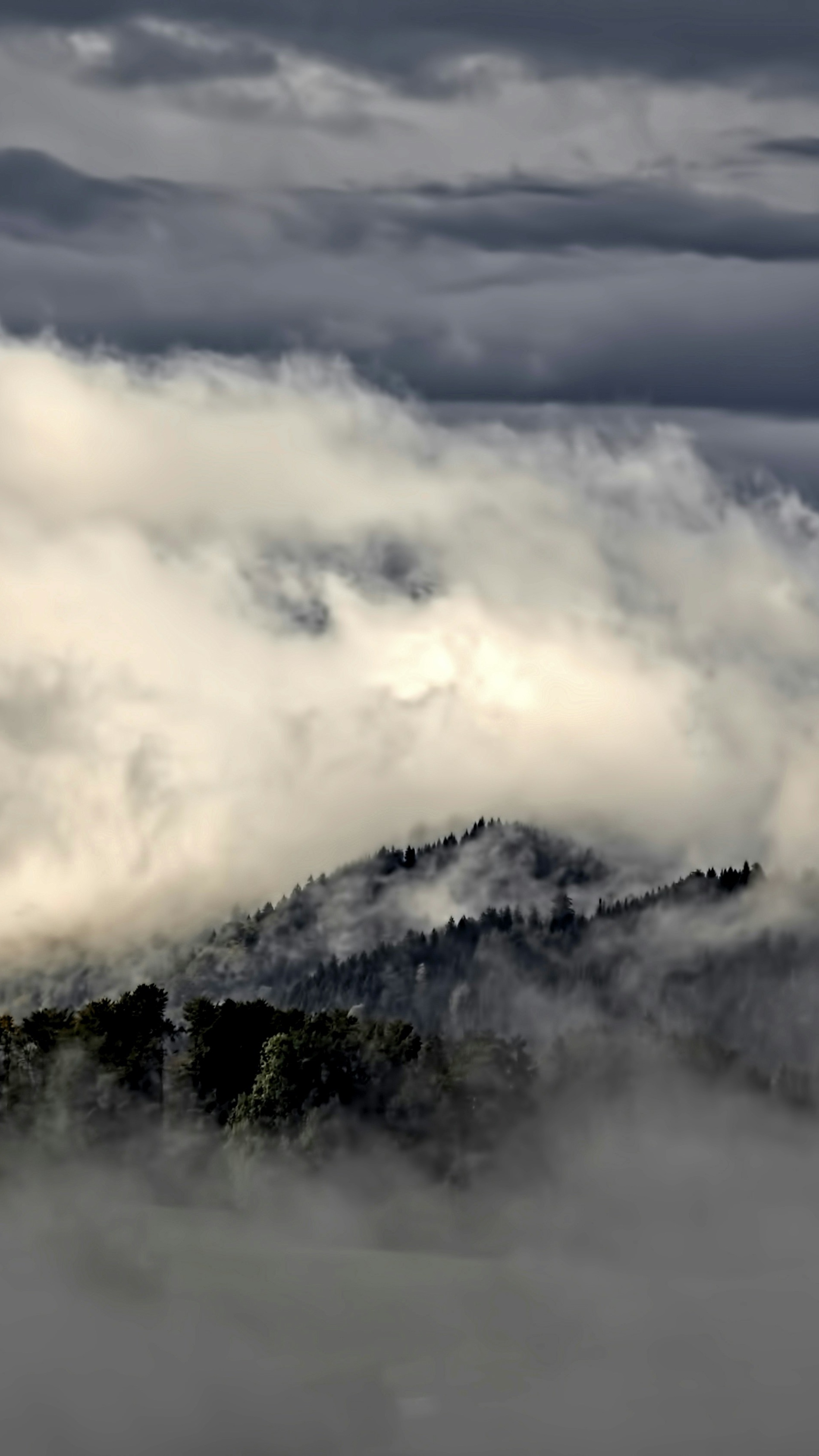 Landscapes
