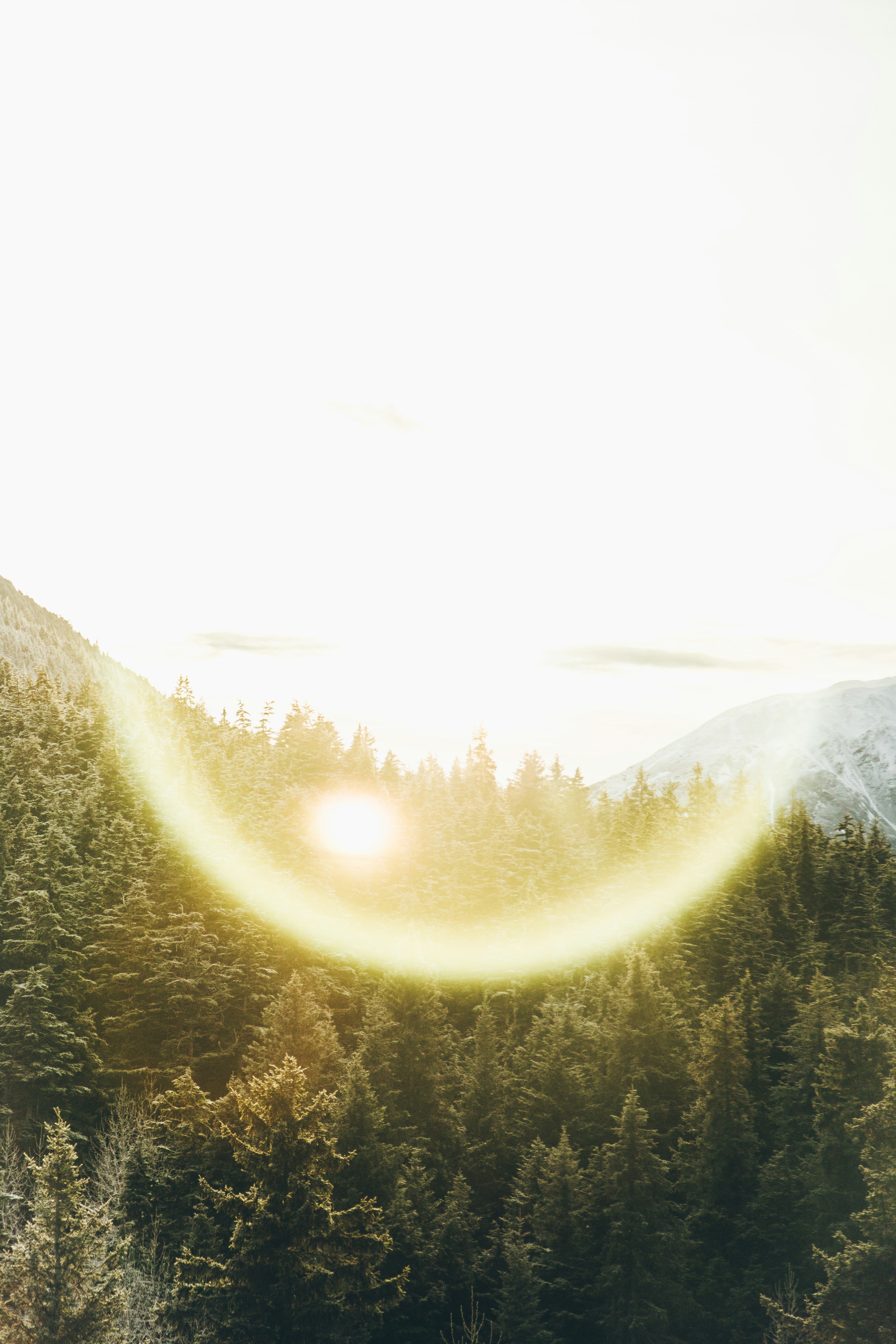Mountain Forest with Sun Lens Flare