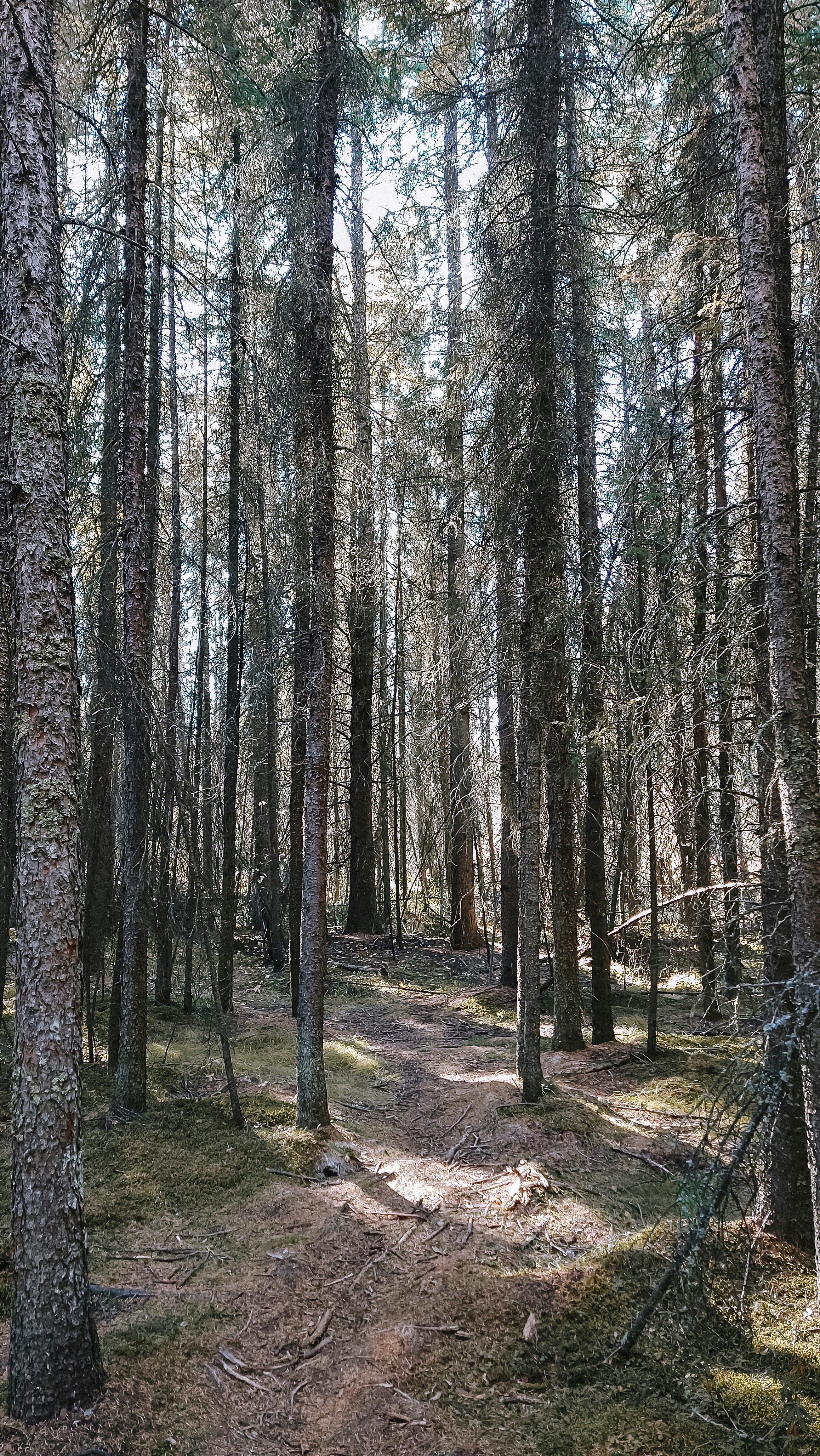 Wallpapers