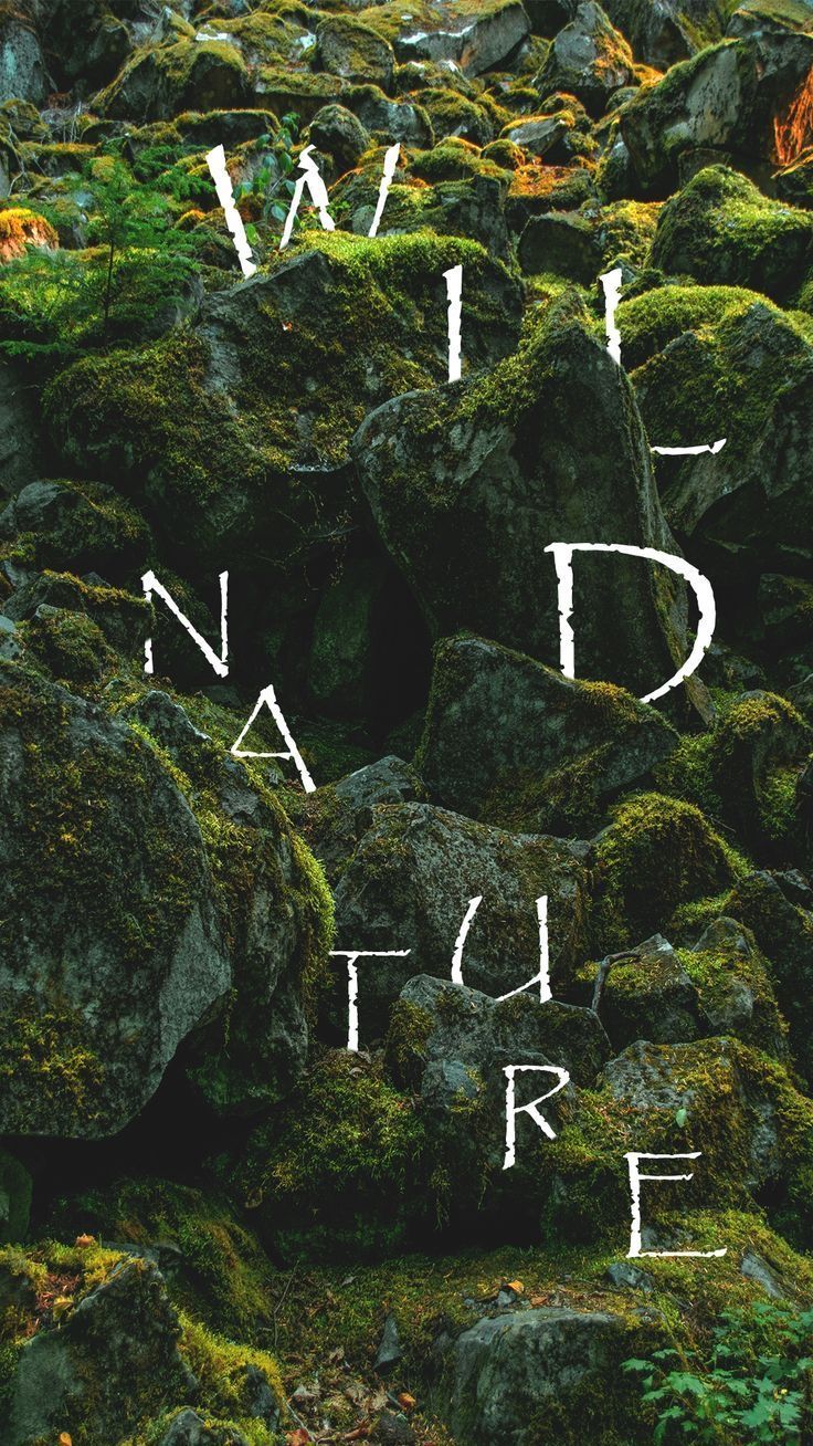 Wallpapers