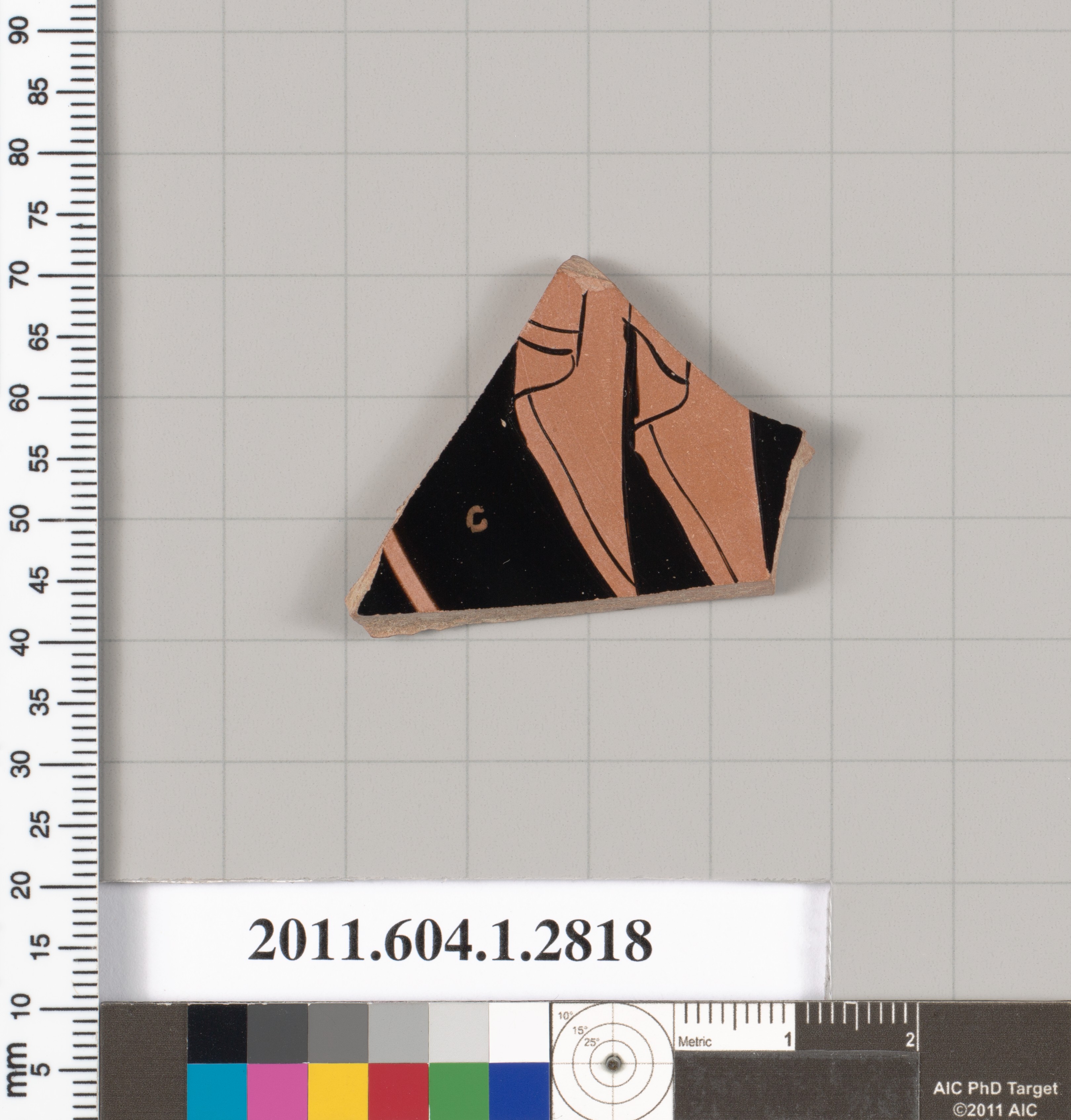 Ancient Pottery Fragment Specimen
