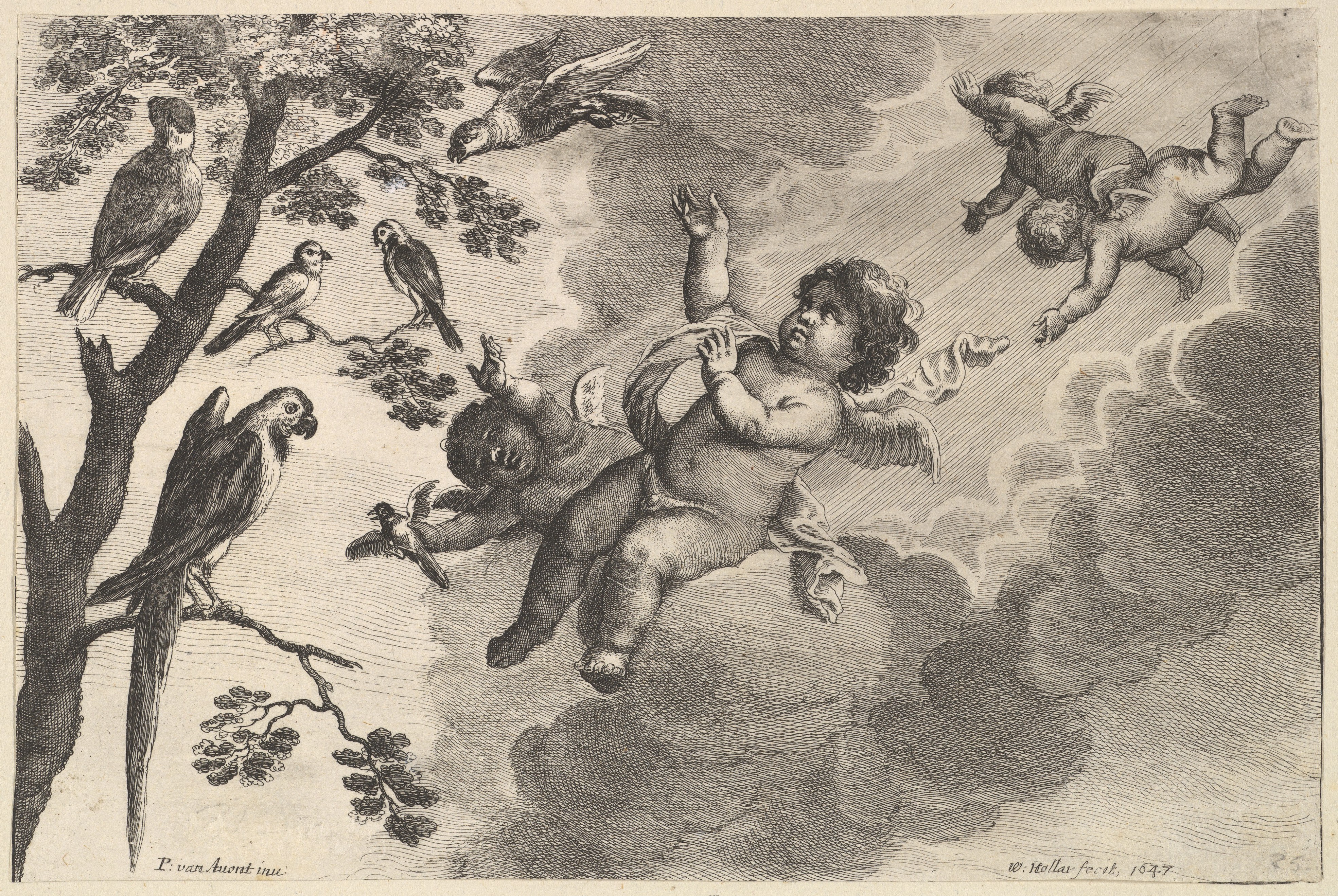 1647 Etching of Cherubs and Birds