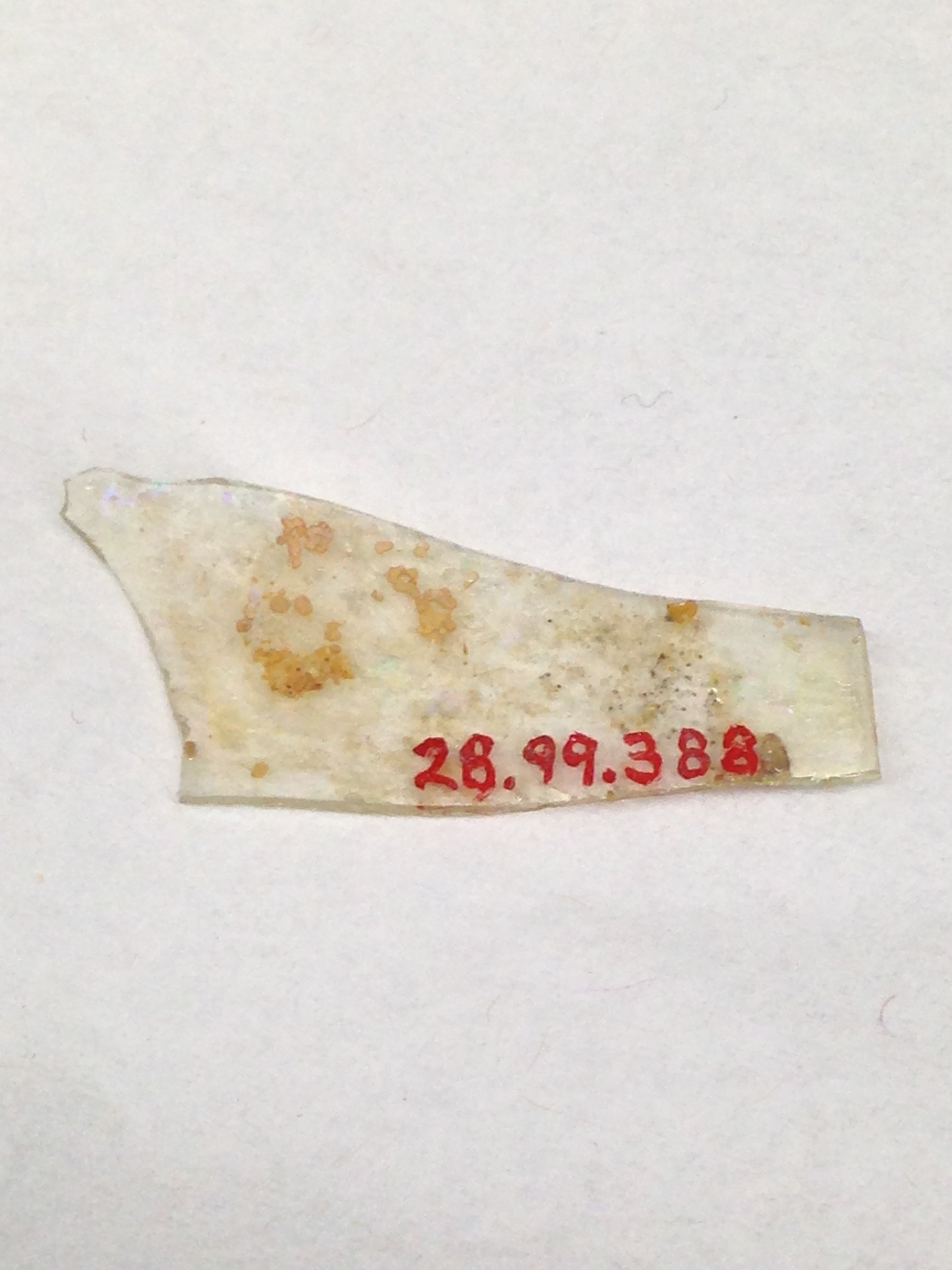 Glass Fragment with Museum Catalog Number